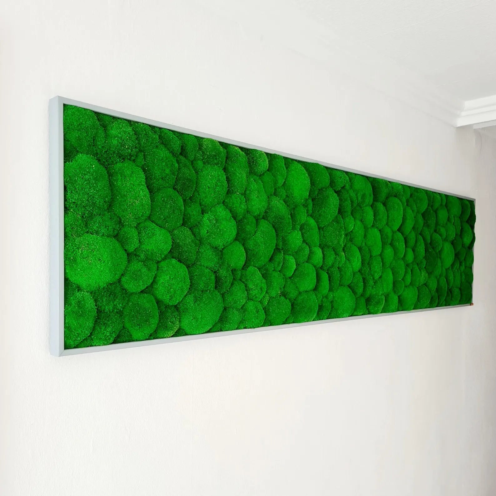 Bun Moss Wall Art – Premium Moss Picture with Logo for Living Room, Office & Large Spaces