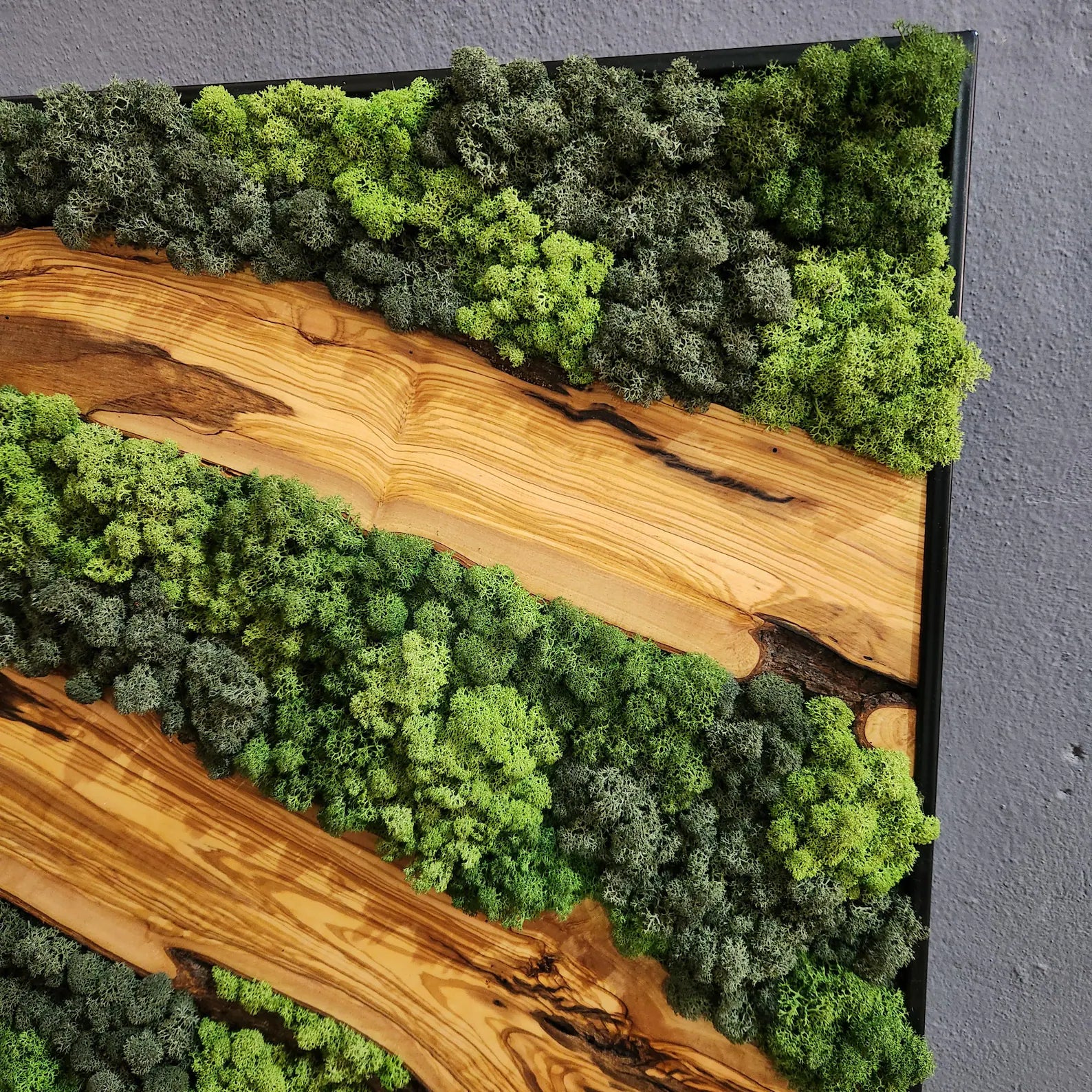Moss & Wood Wall Art – Olive Wood and Preserved Moss Wall Decor, Rustic Greenery Wall Accent for Home, Office, or Hotel Lobby