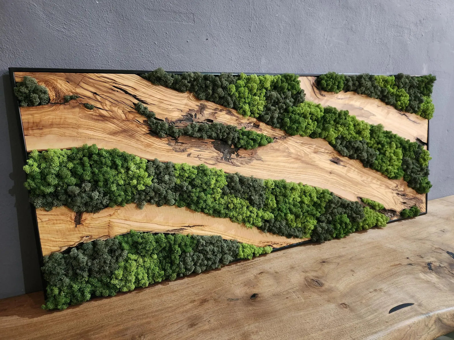 Moss & Wood Wall Art – Olive Wood and Preserved Moss Wall Decor, Rustic Greenery Wall Accent for Home, Office, or Hotel Lobby