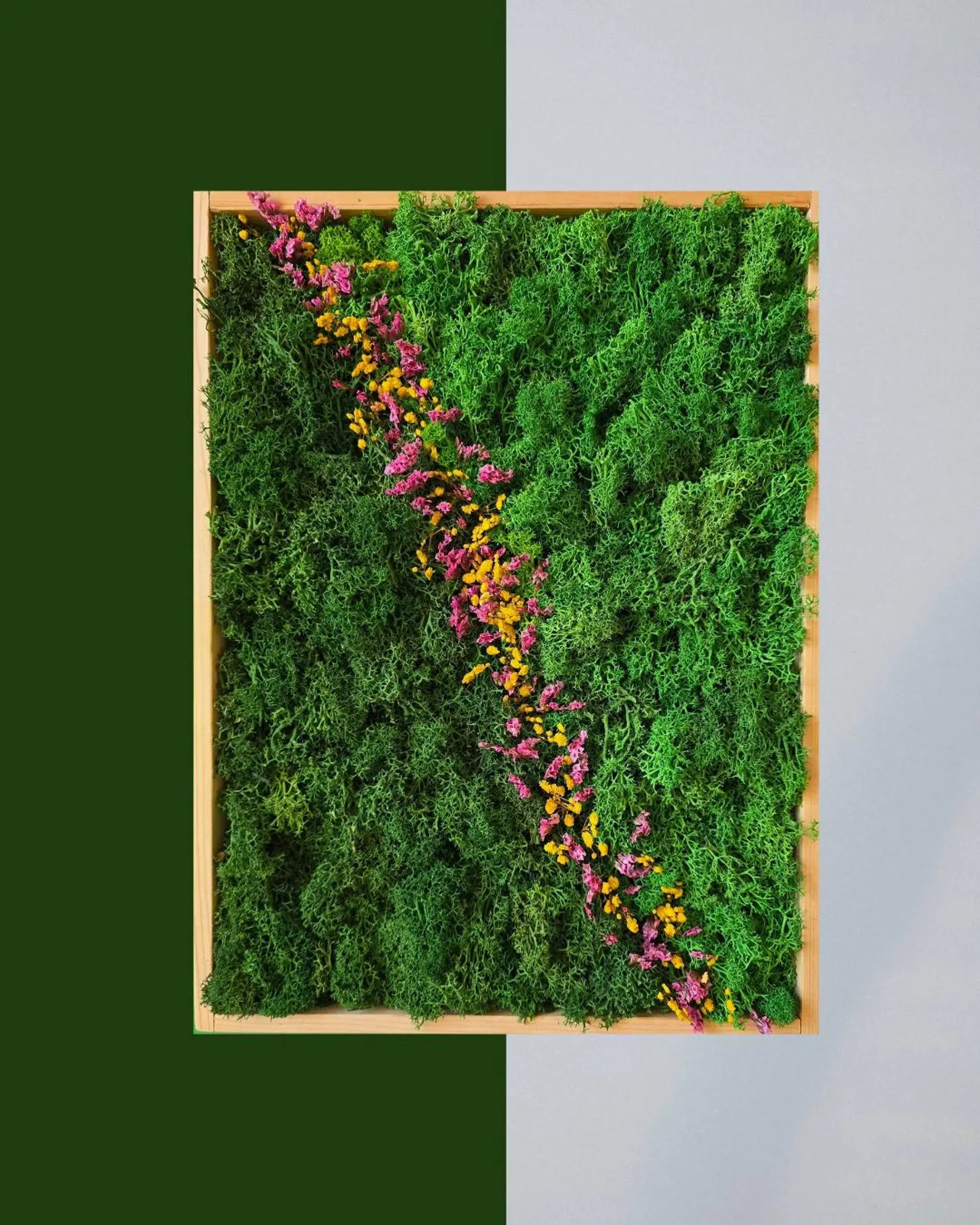 Handmade Preserved Moss Wall Art – Colorful Wooden Panel | Eco-Friendly Wall Decor & Anniversary Gift