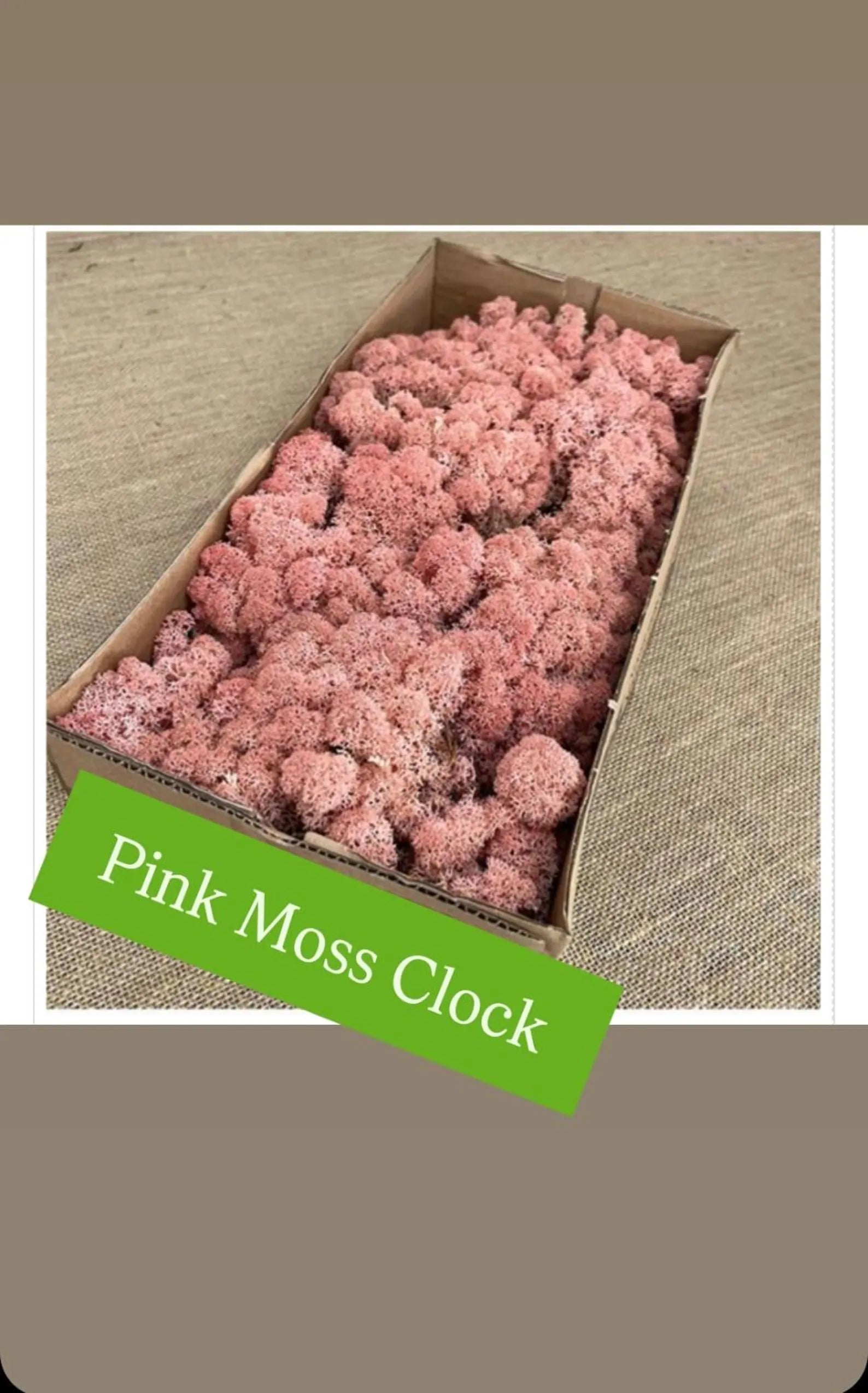 Large Moss Wall Clock – Preserved Moss & Epoxy Wood Art, Unique Home Decor Gift