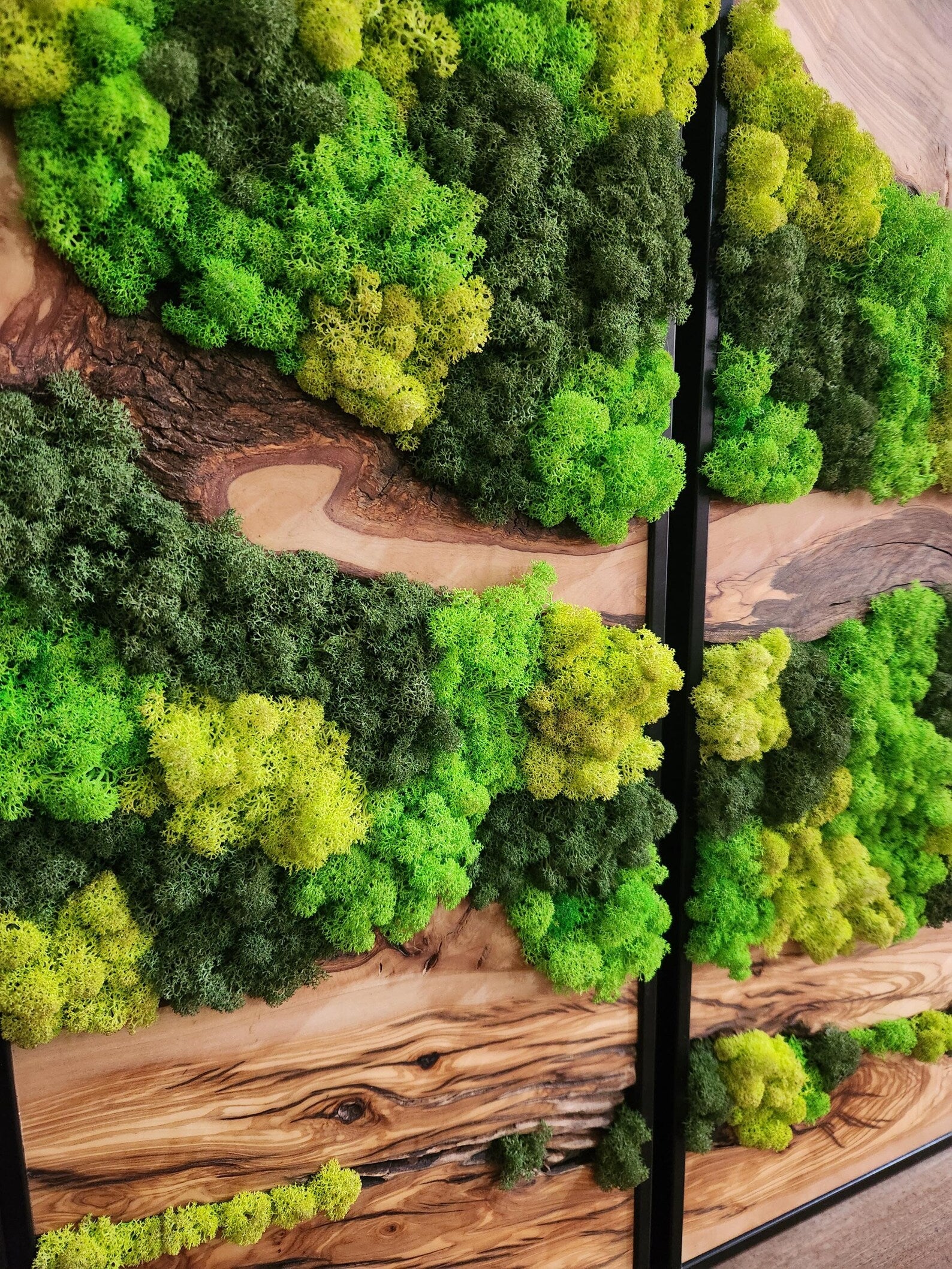 Olive Wood & Preserved Moss Wall Art – Unique Botanical Nature-Inspired Decor