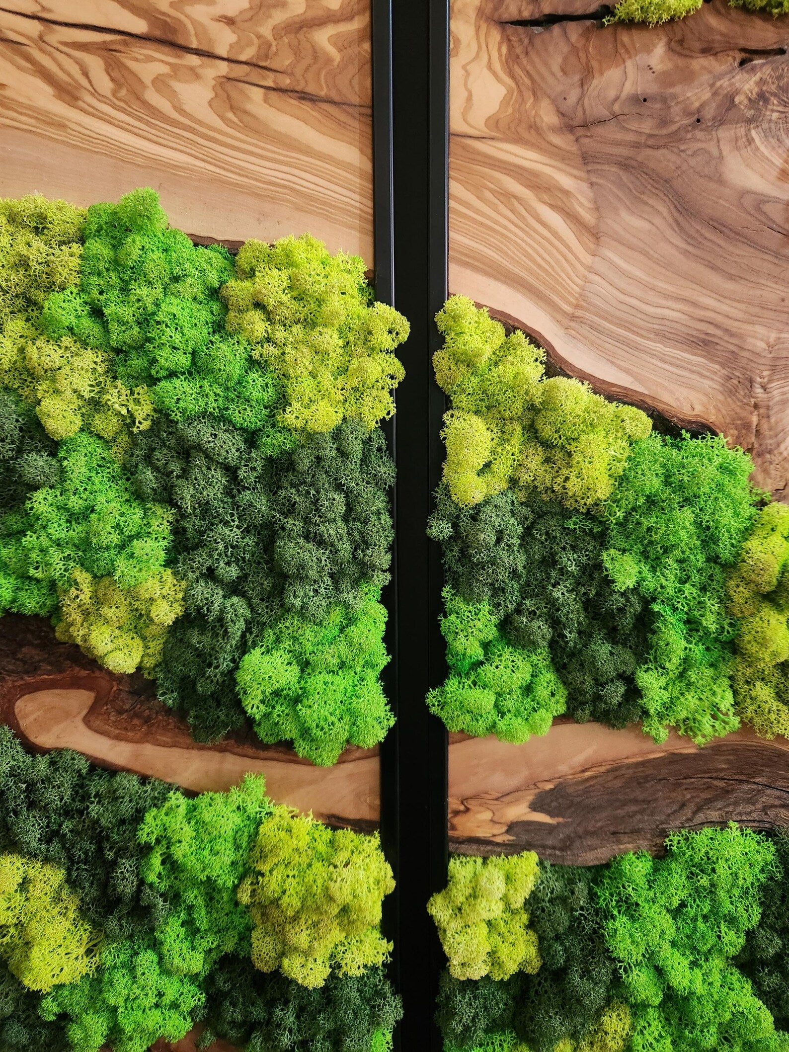 Olive Wood & Preserved Moss Wall Art – Unique Botanical Nature-Inspired Decor