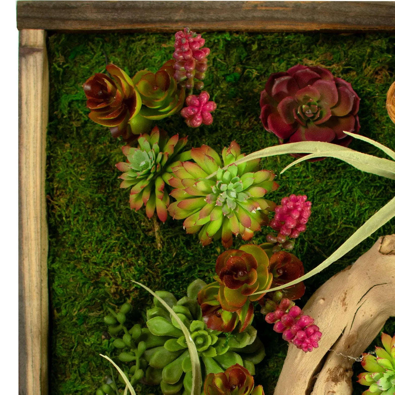 The Monterey Succulent & Preserved Moss Frame – 21x13 in Wall Hanging Decor