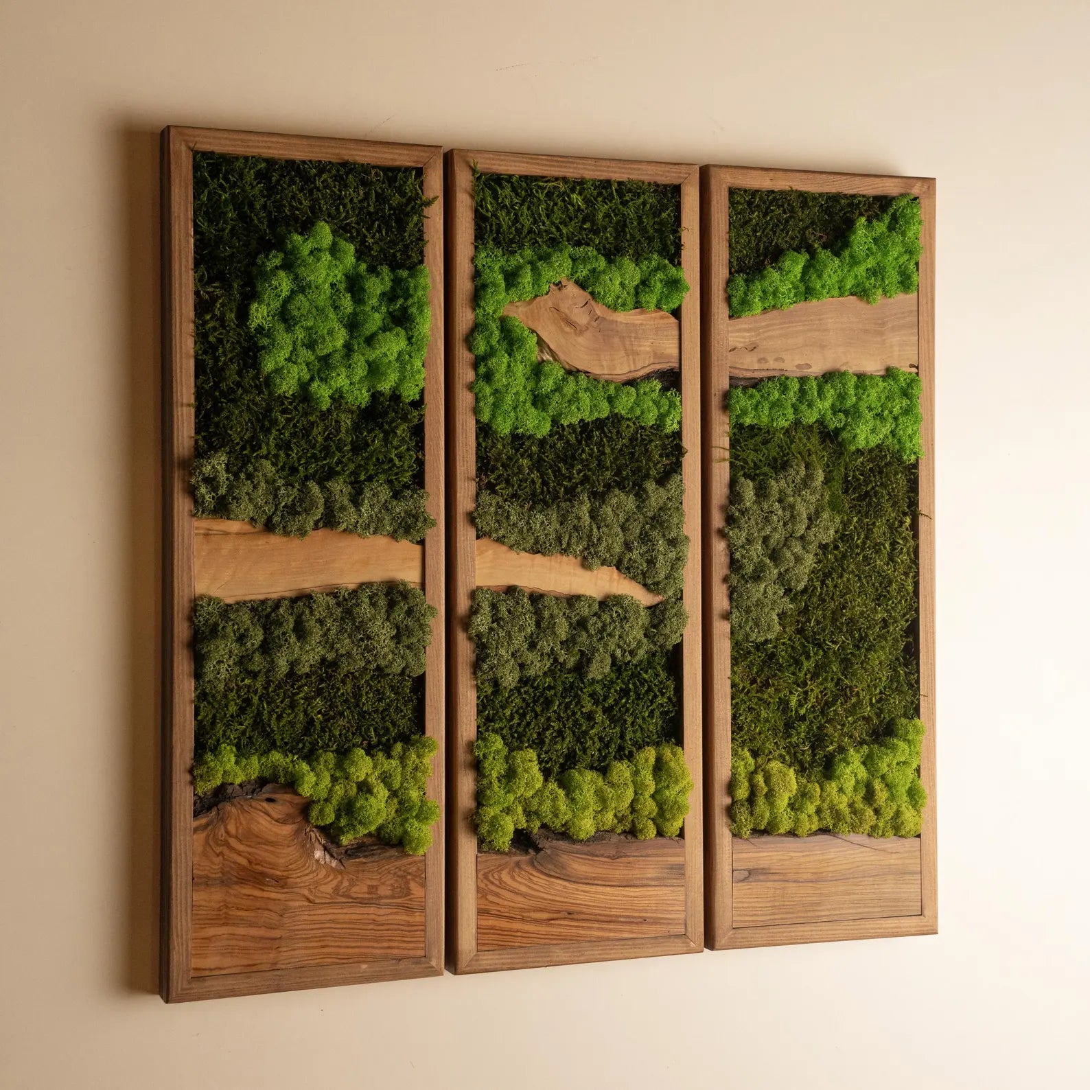 Olive Wood and Moss Wall Art – Rectangular Frame Panel for Farmhouse Décor, Entryway & Unique Gifts