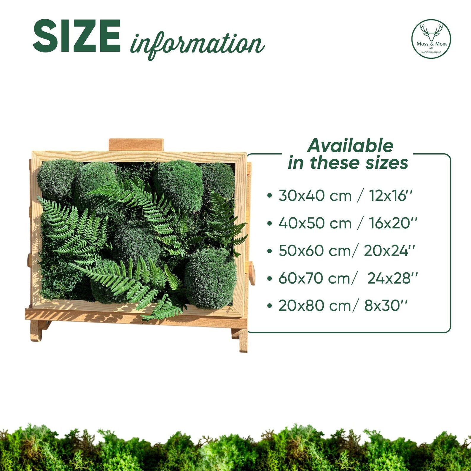Framed Moss Wall Art with Fern Leaves | Greenery Moss Decor | Live Moss Wall Hanging for Living Room & Office