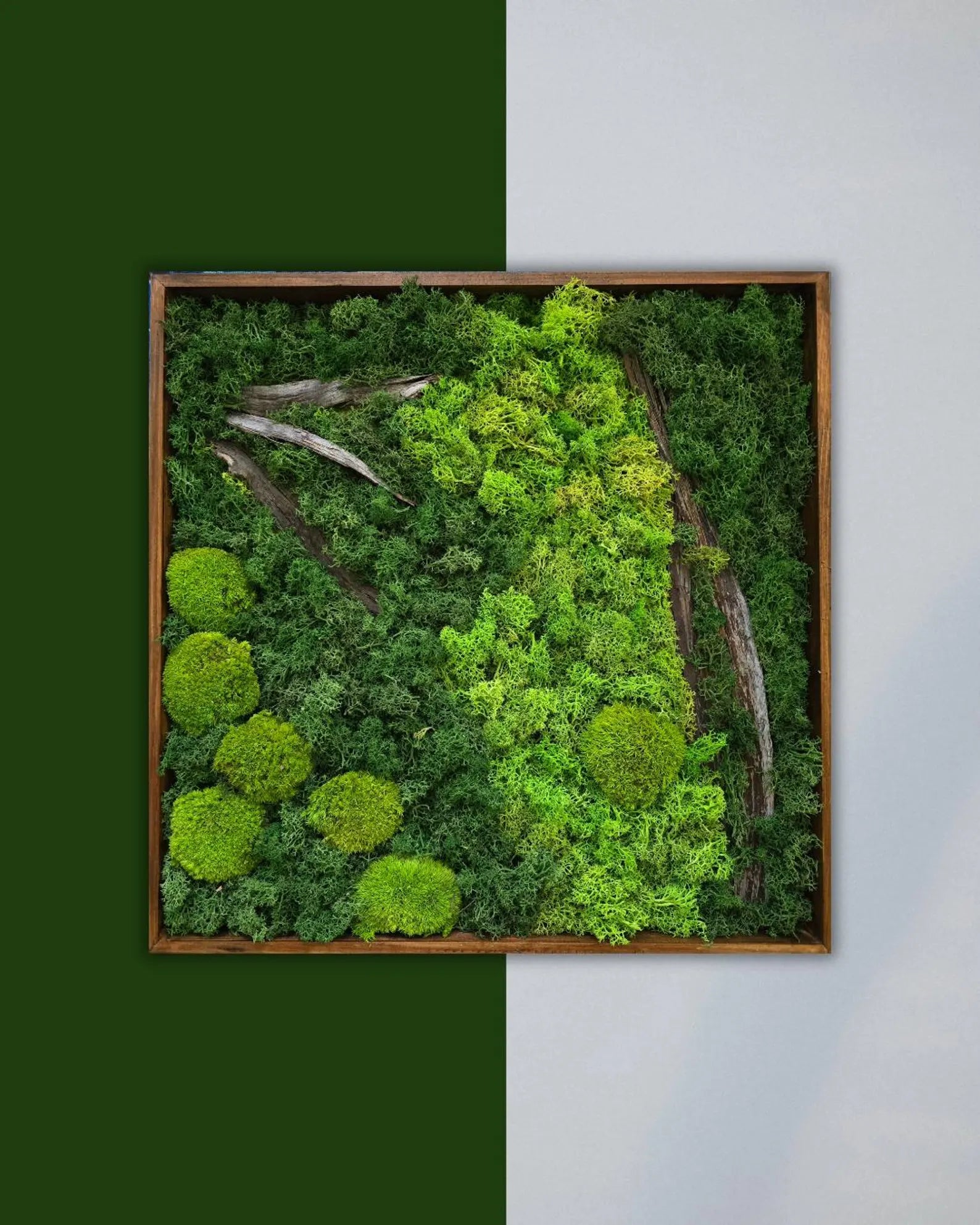 Natural Moss Wall Art – Preserved Reindeer Moss Frame | Green Plant Decor & Vertical Garden Panel