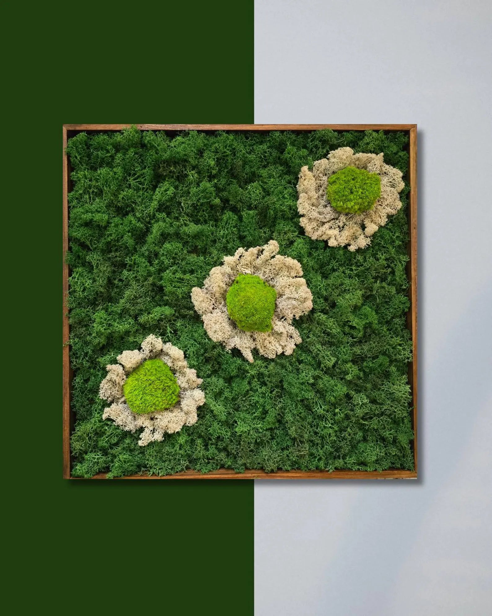 Moss Flower Wall Art – Preserved Floral Moss Panel | Eco Botanical Decor & Vertical Garden Frame