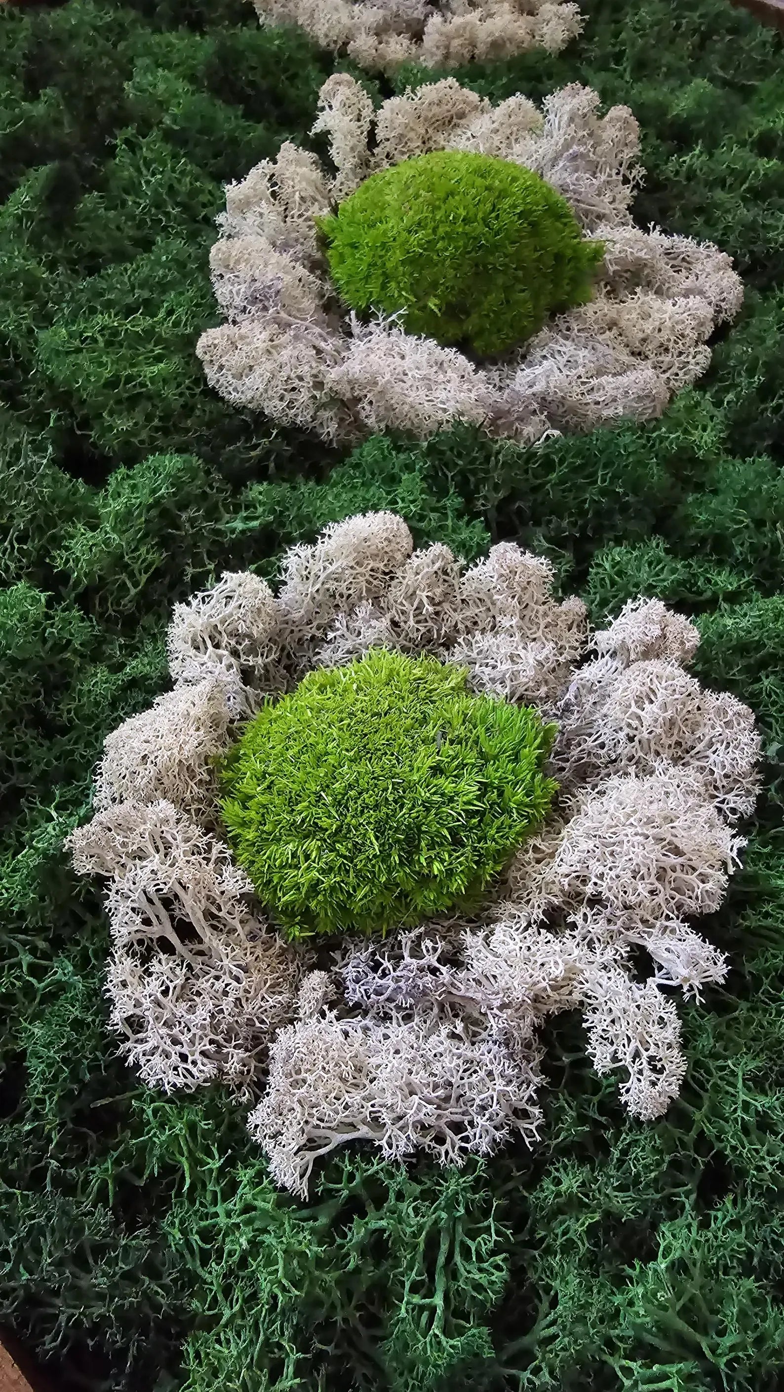 Moss Flower Wall Art – Preserved Floral Moss Panel | Eco Botanical Decor & Vertical Garden Frame