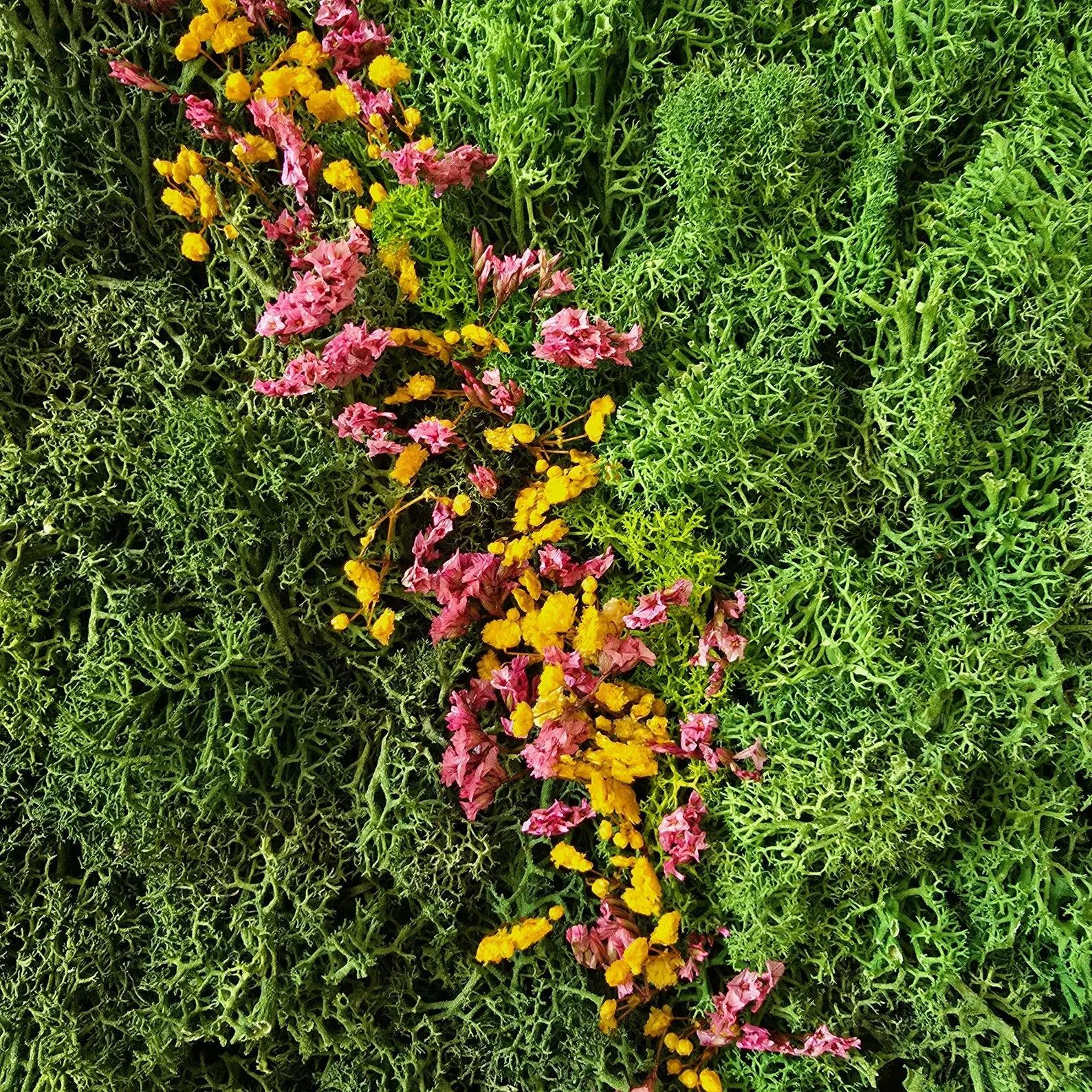 Natural Moss Wall Art – Preserved Reindeer Moss Frame for Home & Office Decor