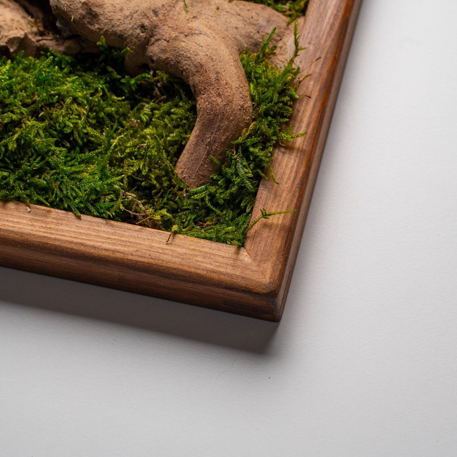 Colorful Moss & Bonsai Wood Wall Art – Preserved Moss Home Decor Gift