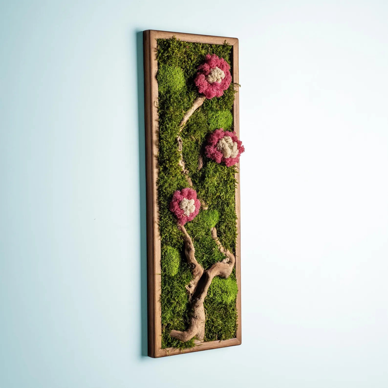 Colorful Moss & Bonsai Wood Wall Art – Preserved Moss Home Decor Gift
