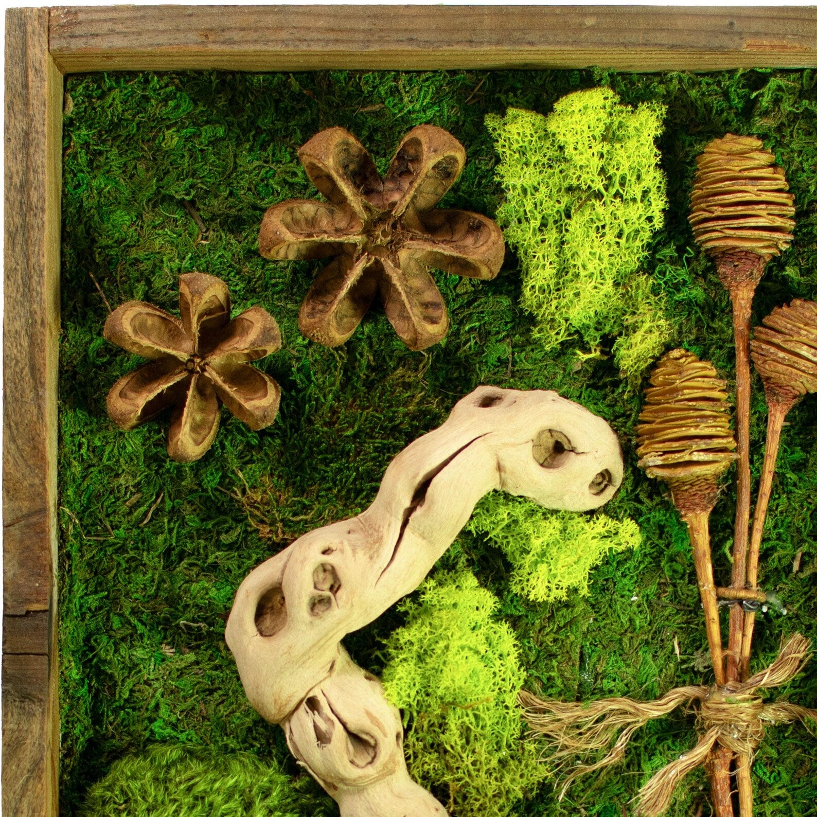 Succulent & Moss Wall Hanging – California Handmade Frame Decor 21x13in