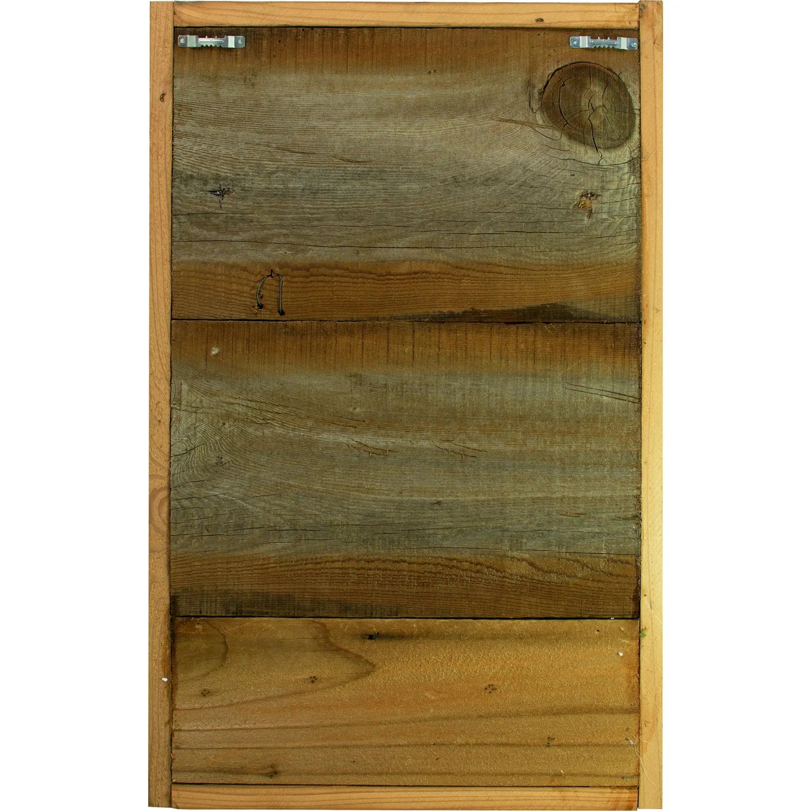 The Monterey Succulent & Preserved Moss Frame – 21x13 in Wall Hanging Decor