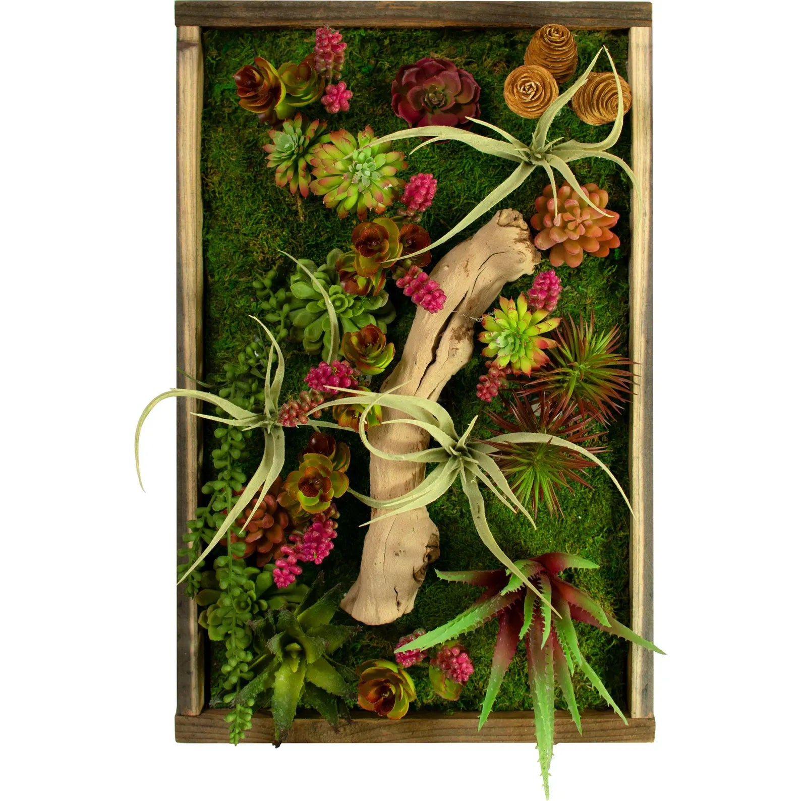 The Monterey Succulent & Preserved Moss Frame – 21x13 in Wall Hanging Decor