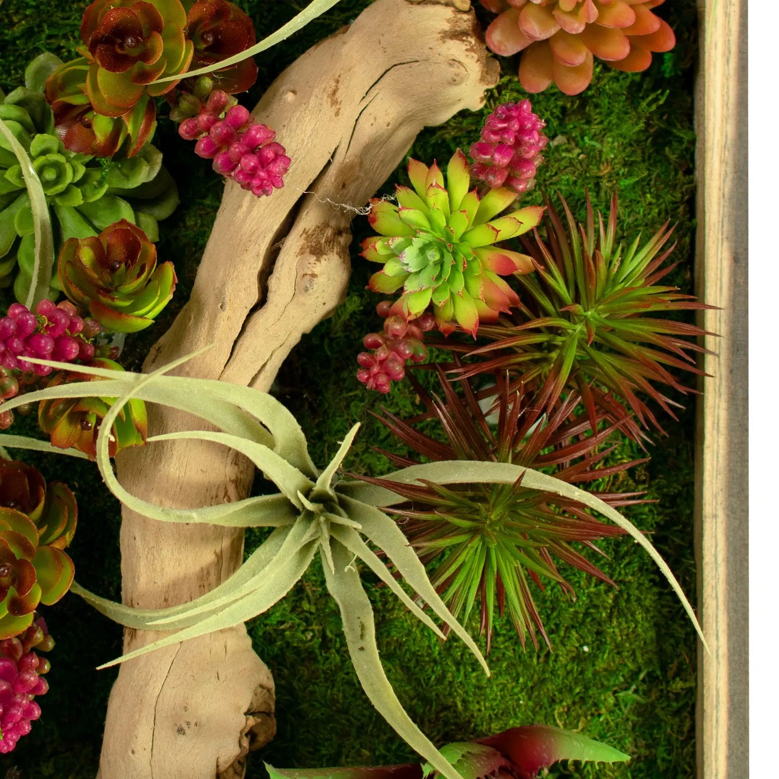 The Monterey Succulent & Preserved Moss Frame – 21x13 in Wall Hanging Decor