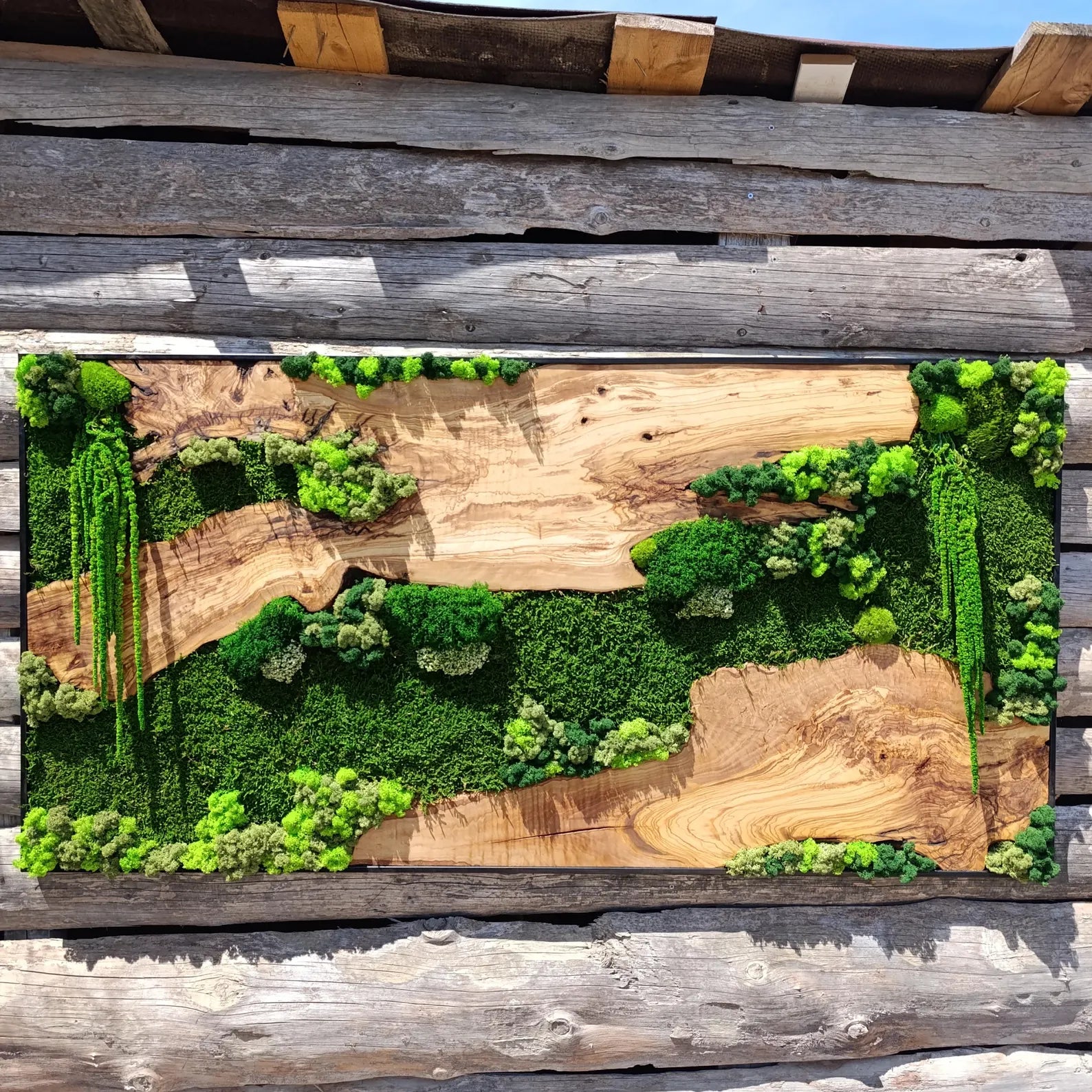 Moss and Wood Wall Art – Rustic Olive Wood Frame | Greenery Decor for Home & Office
