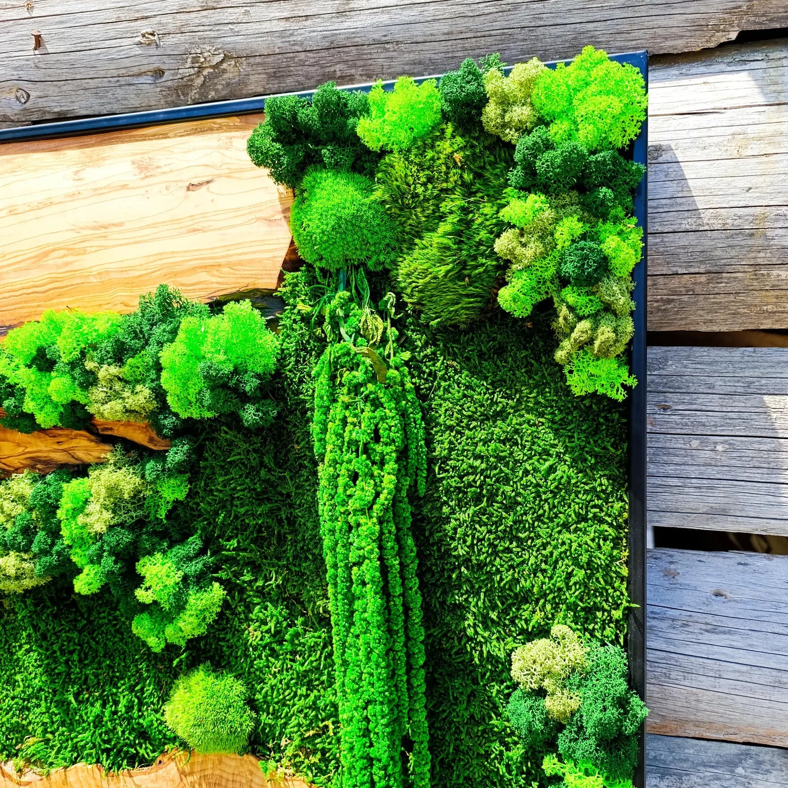 Moss and Wood Wall Art – Rustic Olive Wood Frame | Greenery Decor for Home & Office