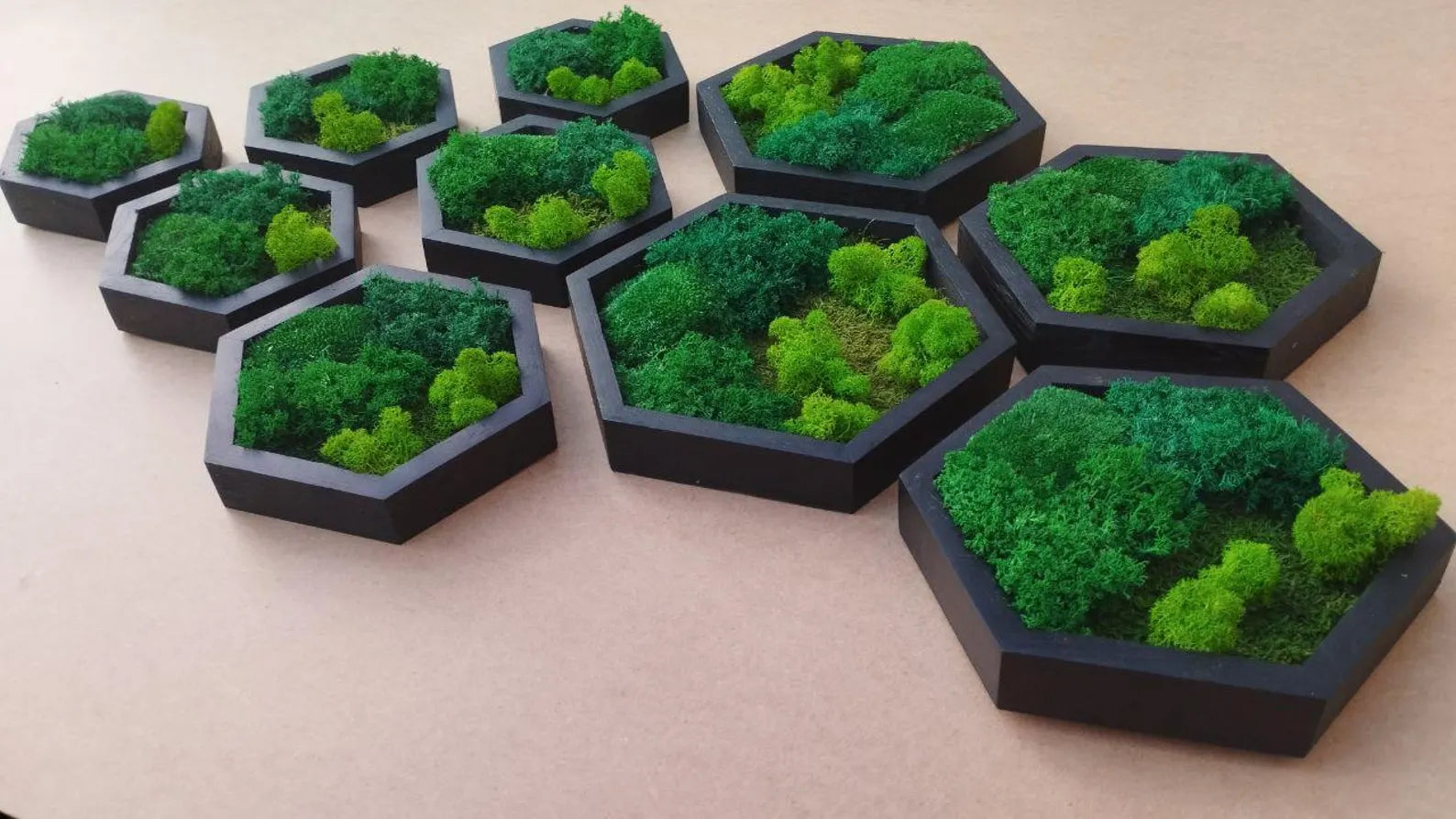 10 Pcs Hexagon Moss Wall Art – White Oak Wood Frames | Green Wall Decor & Gift Idea