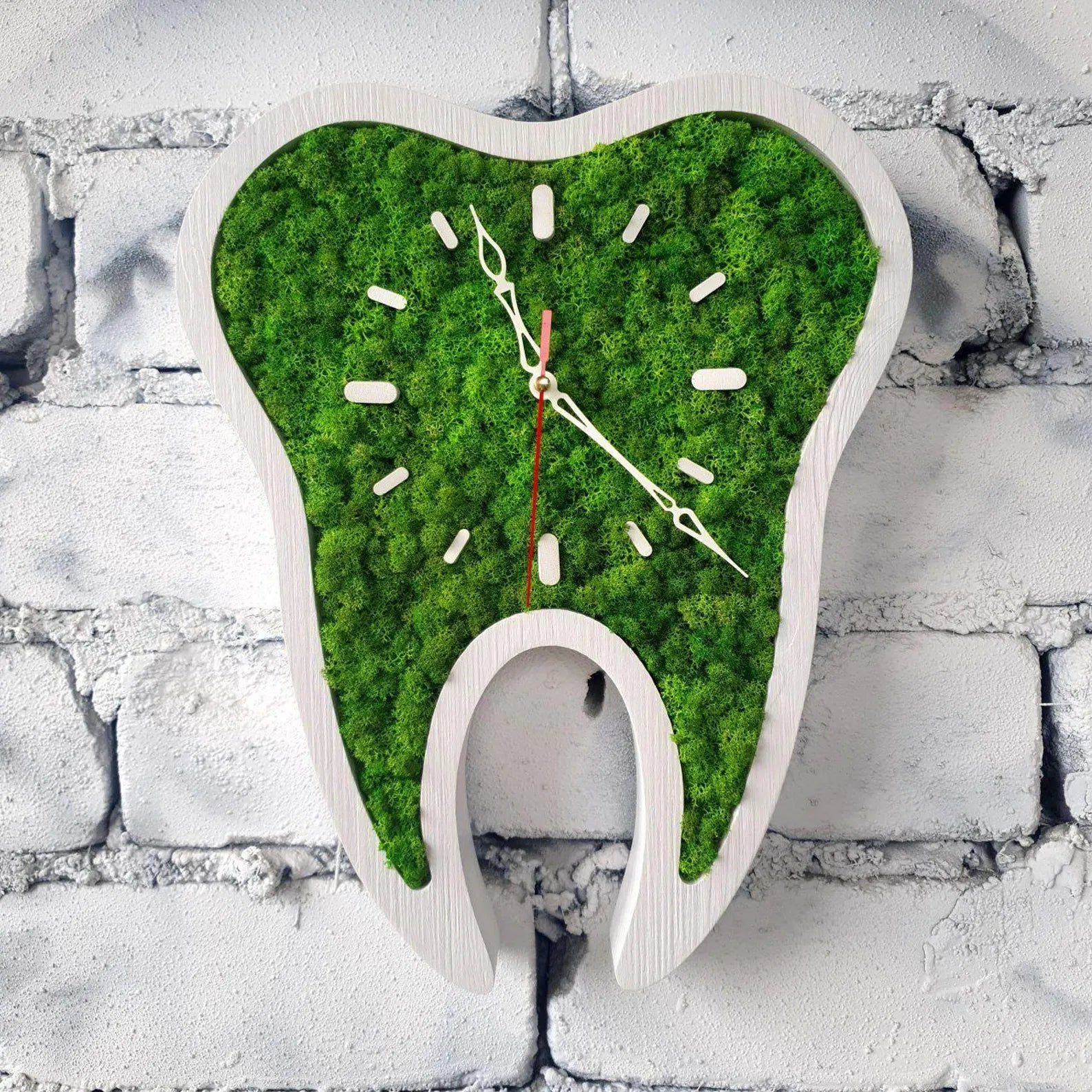 Tooth Shaped Moss Clock – Eco Friendly Wall Art for Dental Office Decor
