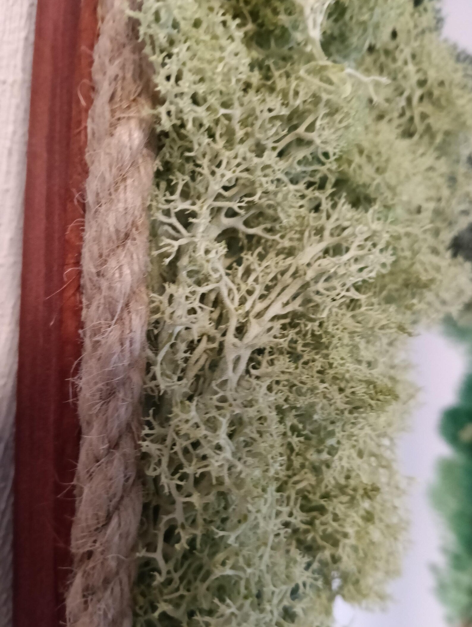 Natural Mirror with Preserved Icelandic Moss – 3D Eco-Friendly Wall Art, No Maintenance Required