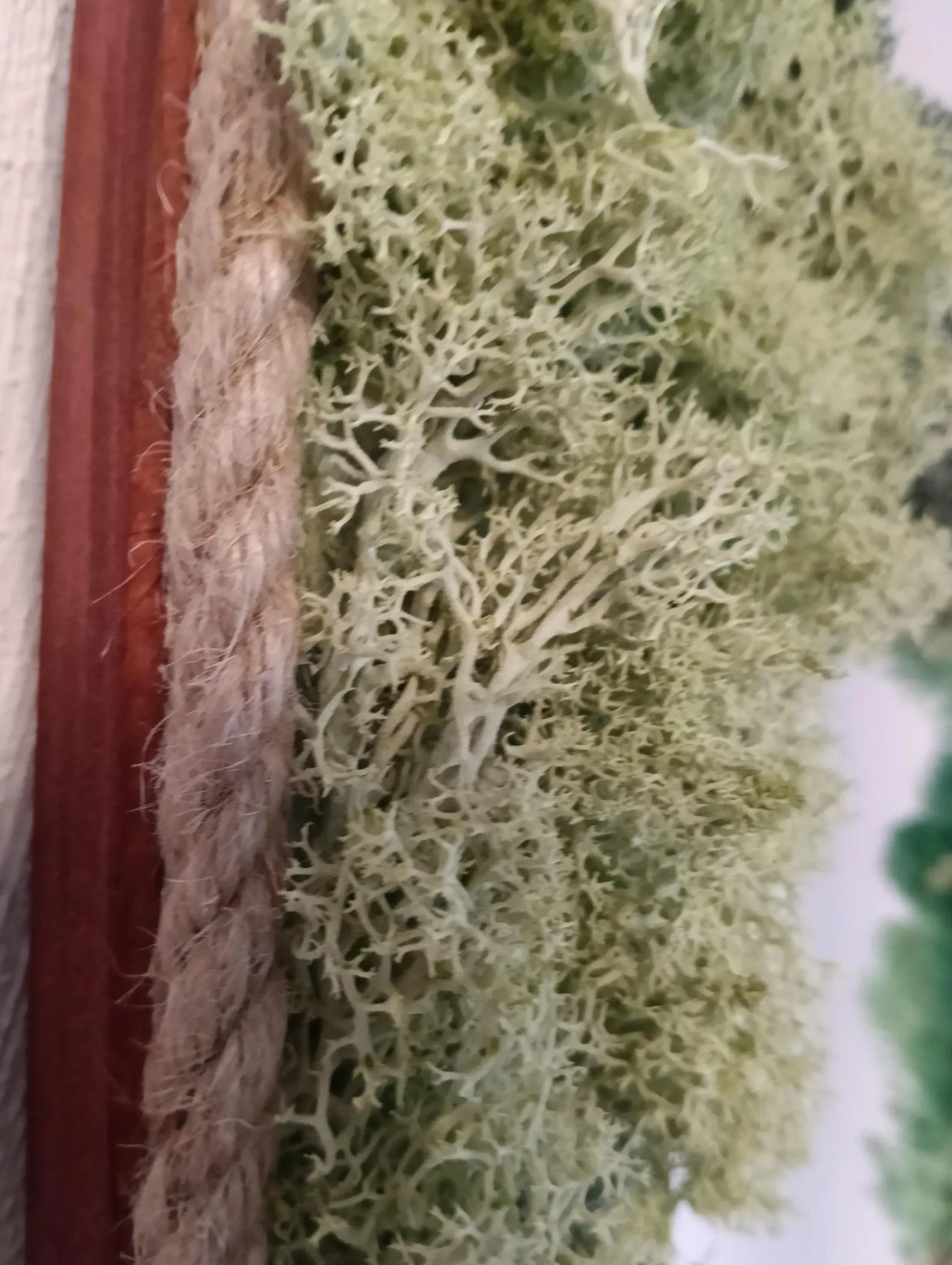 3D Icelandic Moss Mirror – Handmade Eco-Friendly Wall Decor