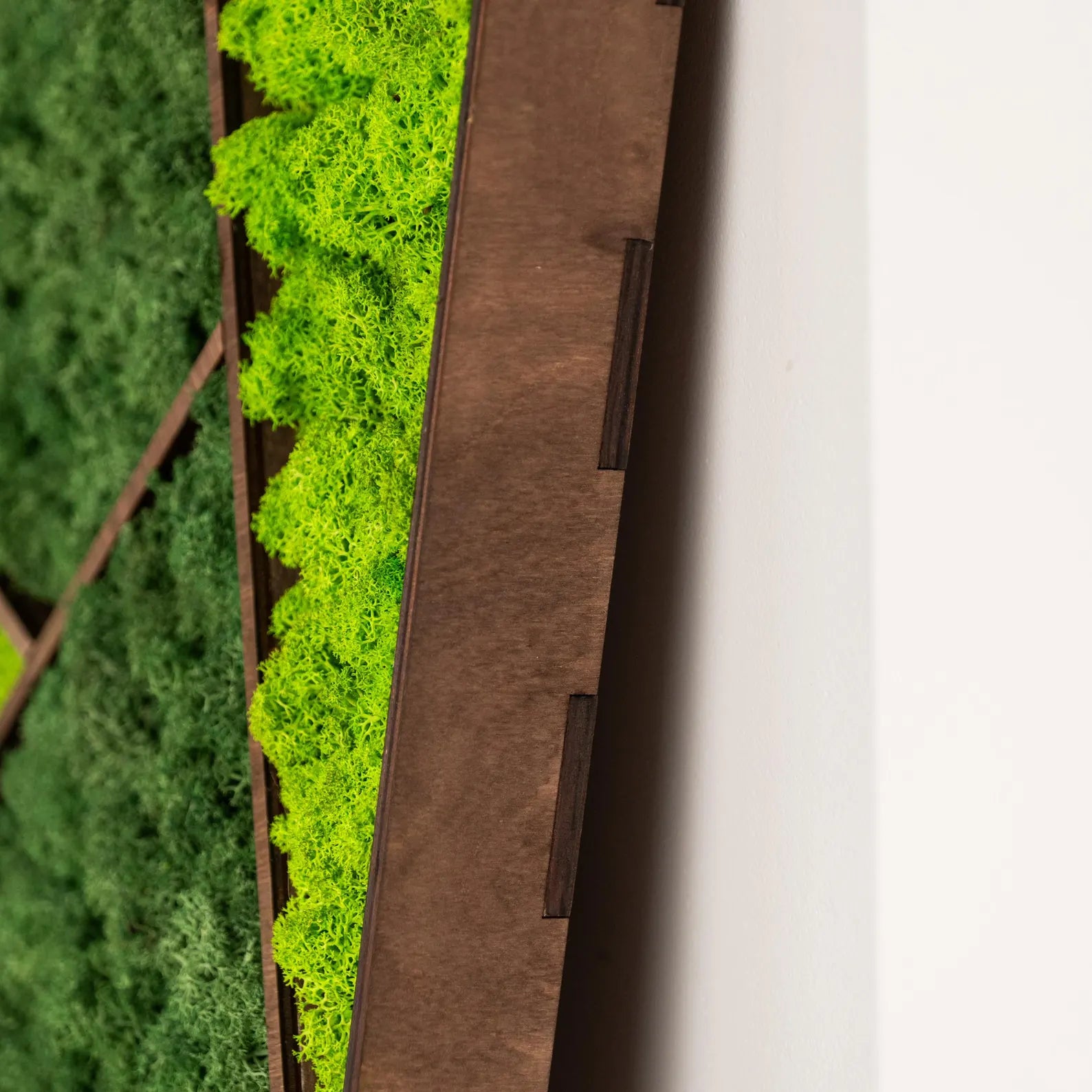 Large Moss Wall Art – Real Preserved Moss in Wooden Frame, Unique Nature Wall Decor, New Home Gift