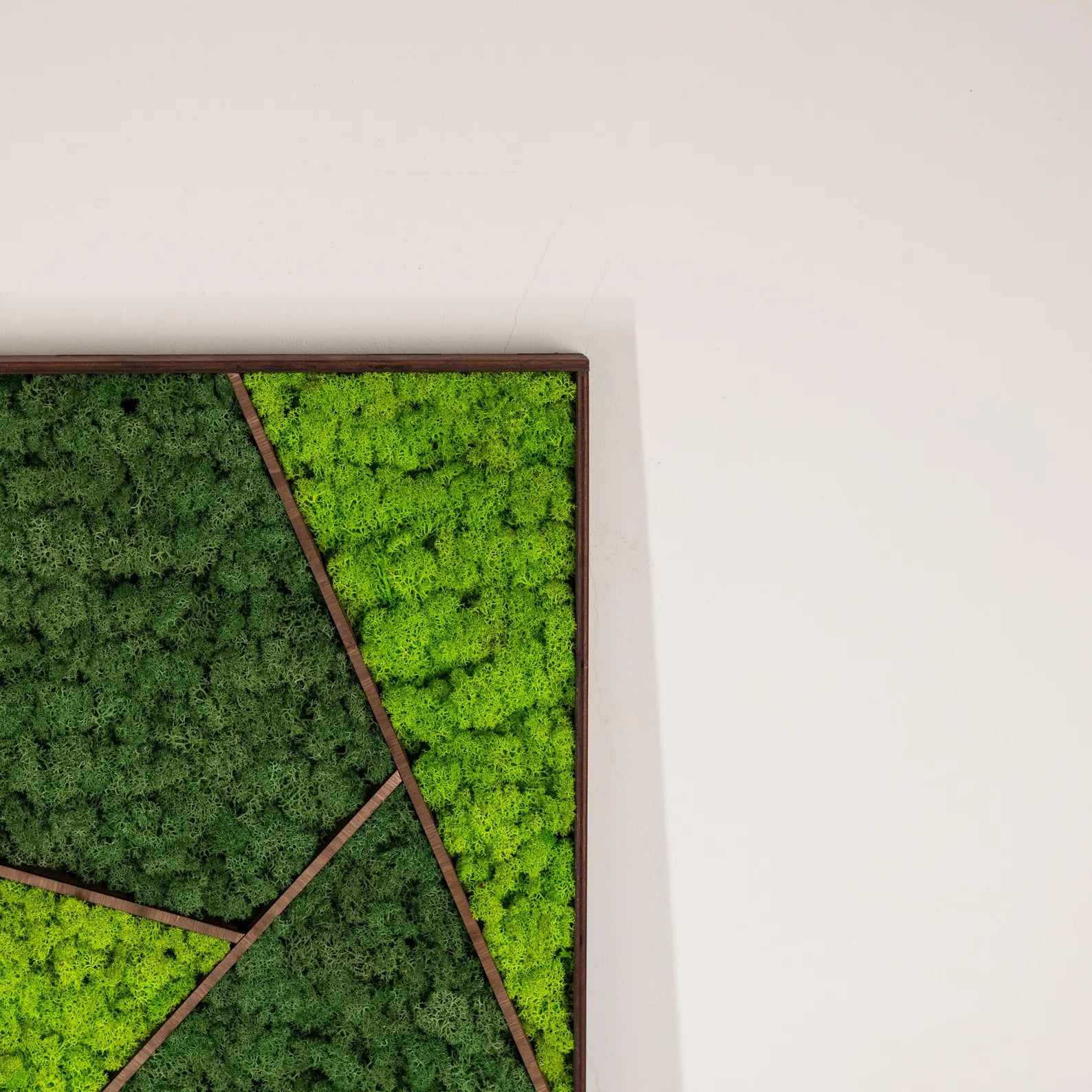 Large Moss Wall Art – Real Preserved Moss in Wooden Frame, Unique Nature Wall Decor, New Home Gift