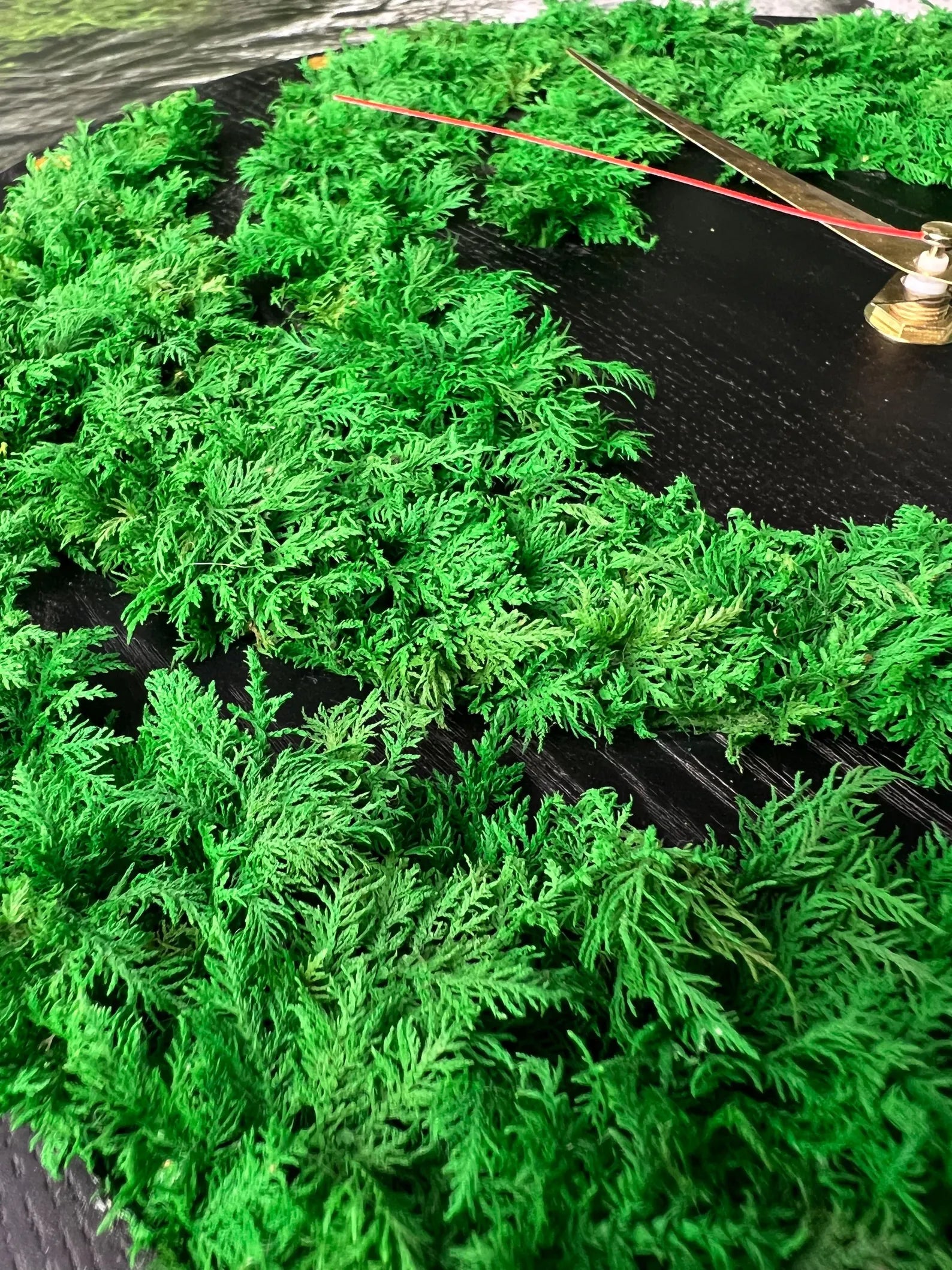 Moss Clock – Wooden Eco Wall Clock with Preserved Moss, Modern Green Home Decor