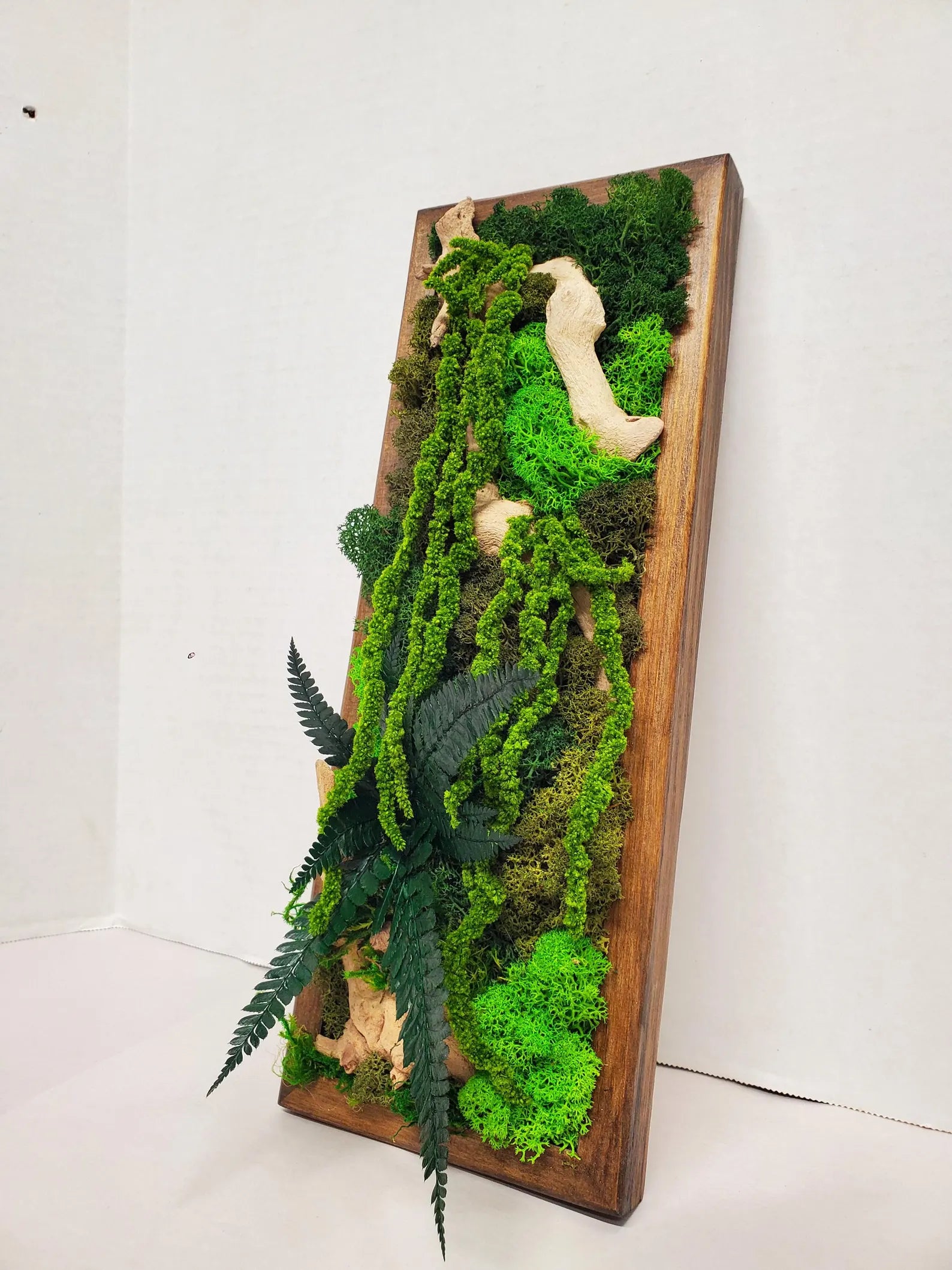 Boho Botanical Moss Wall Art – Natural Framed Hanging Display