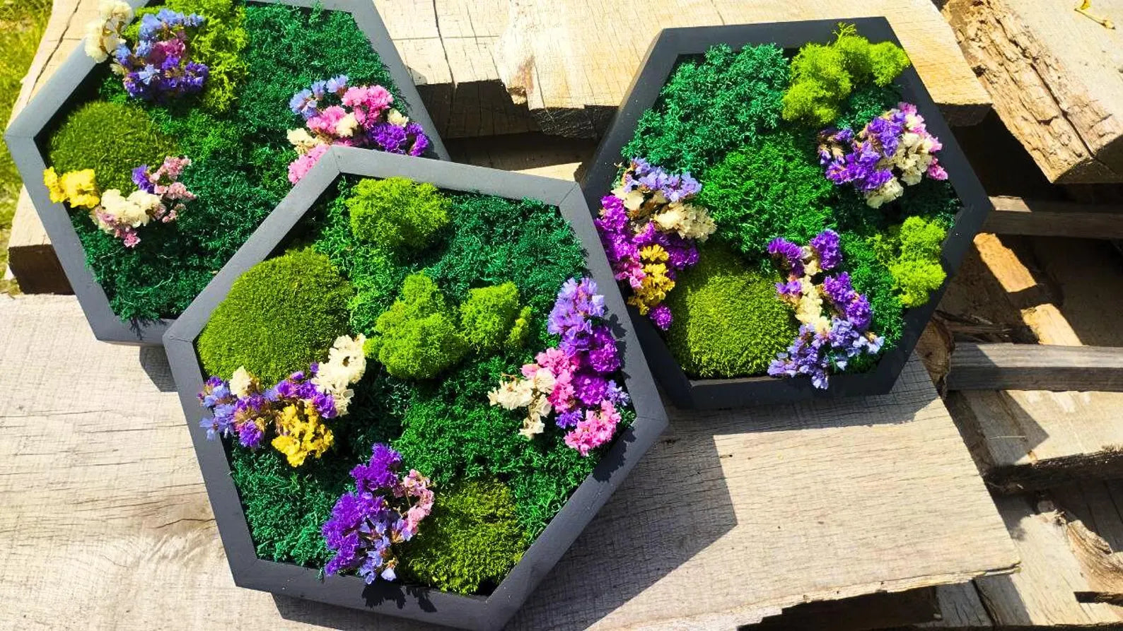 Moss Flower Hexagon Wall Panels – Handmade Preserved Moss Art, Honeycomb Living Wall Decor, Eco-Friendly Biophilic Gift