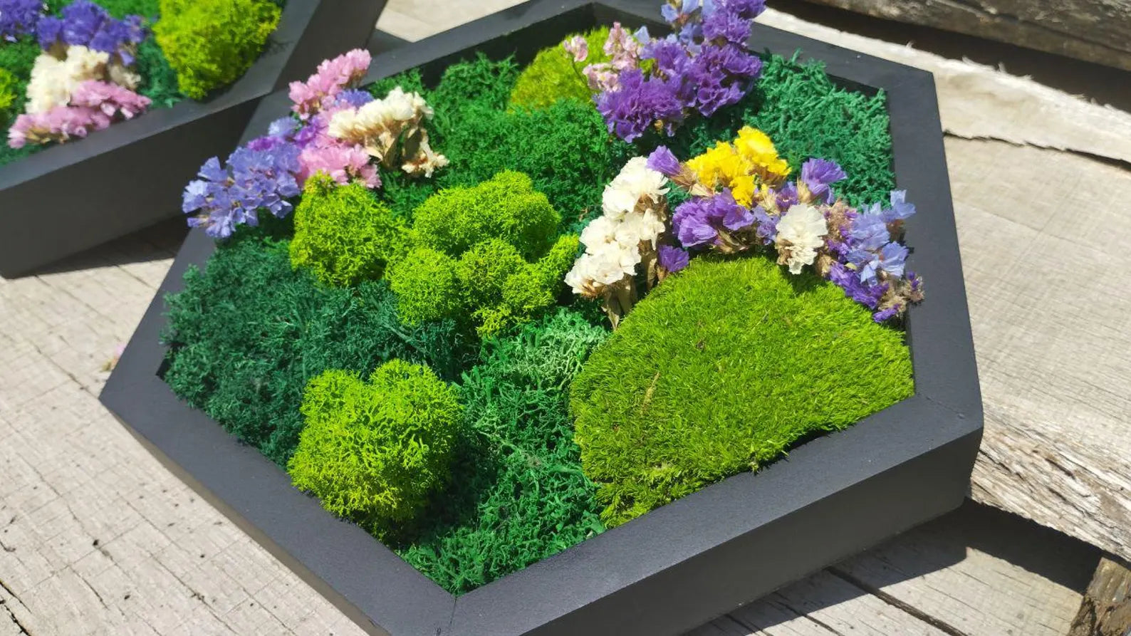 Moss Flower Hexagon Wall Panels – Handmade Preserved Moss Art, Honeycomb Living Wall Decor, Eco-Friendly Biophilic Gift