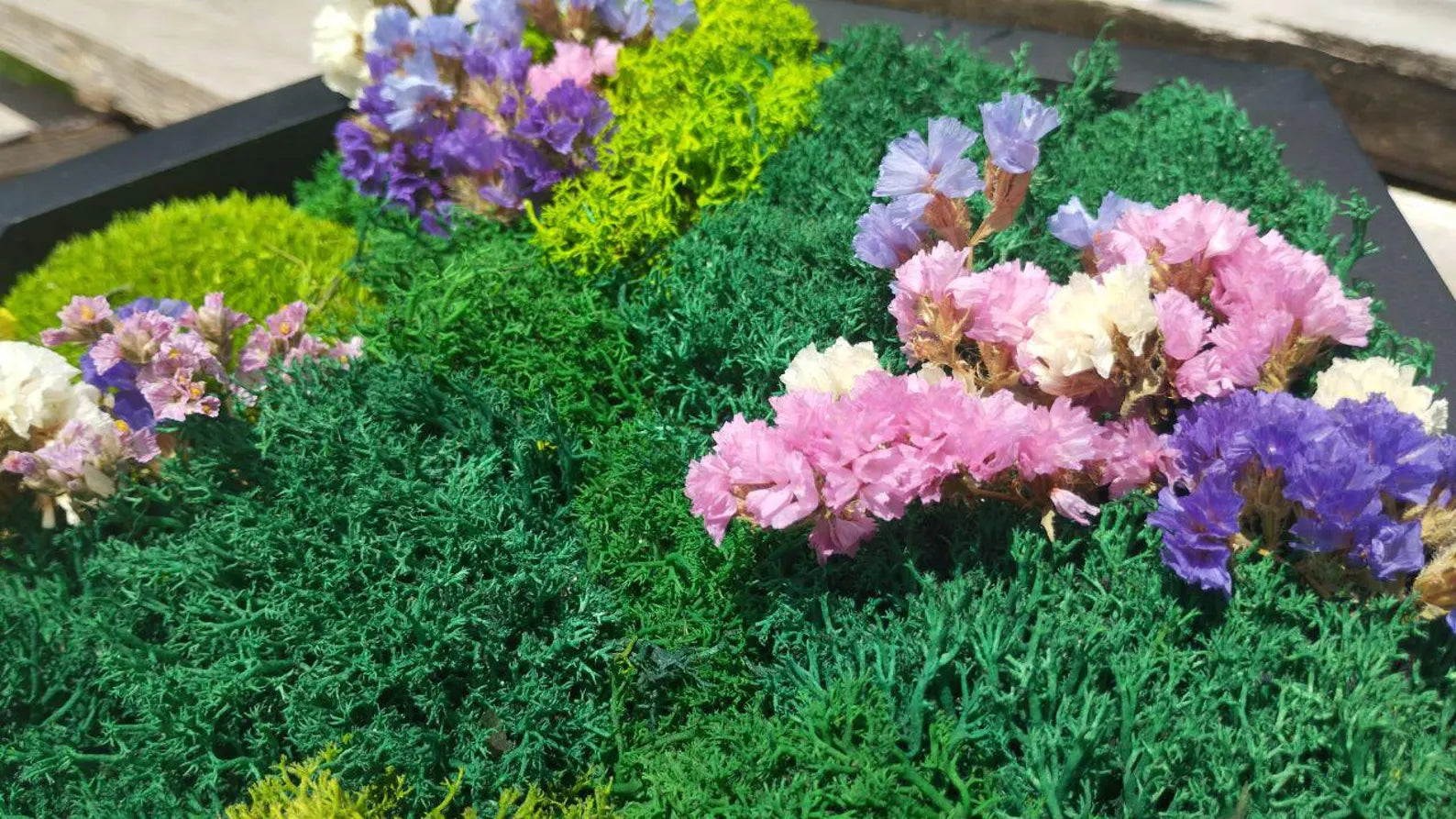 Moss Flower Hexagon Wall Panels – Handmade Preserved Moss Art, Honeycomb Living Wall Decor, Eco-Friendly Biophilic Gift