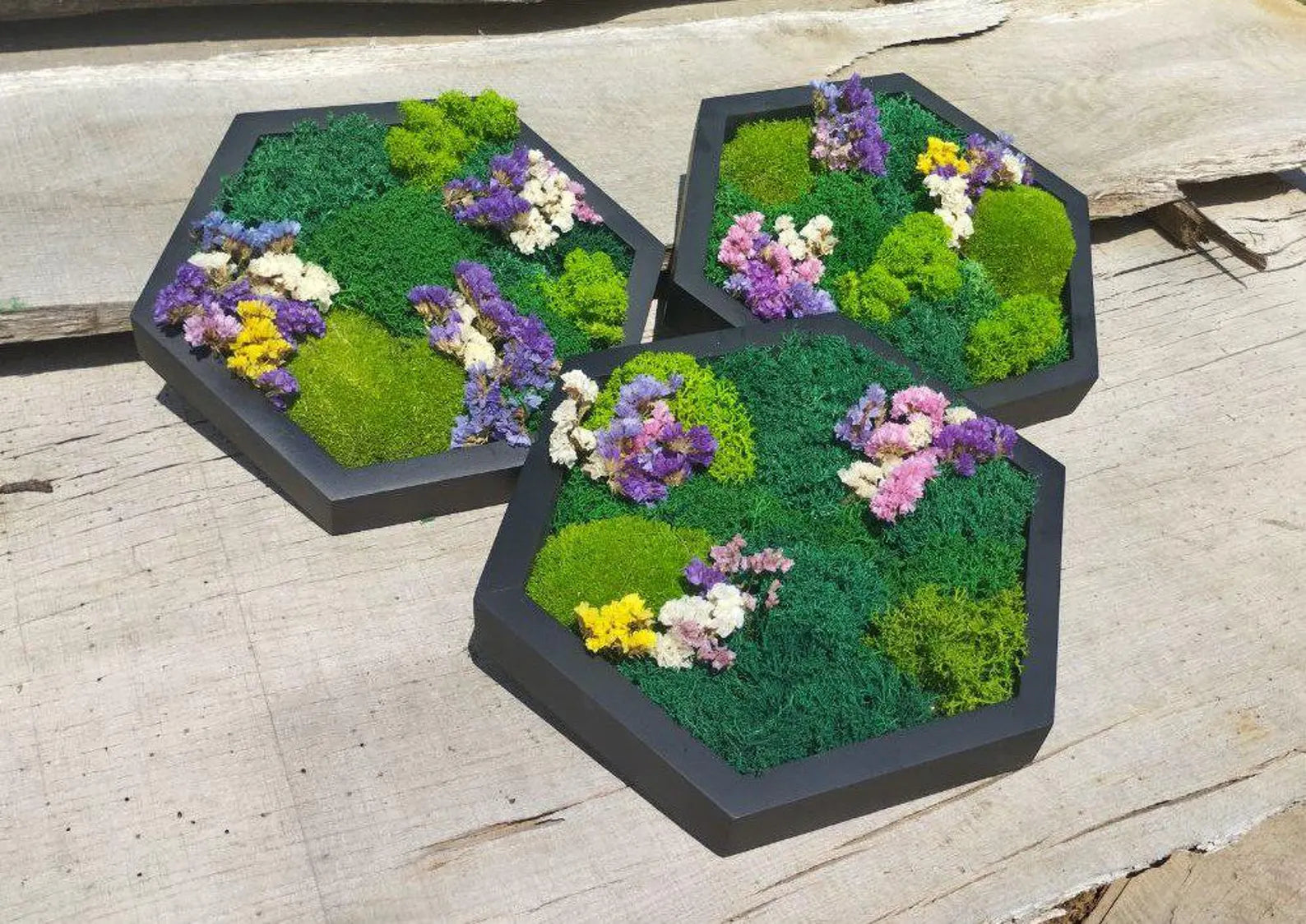 Moss Flower Hexagon Wall Panels – Handmade Preserved Moss Art, Honeycomb Living Wall Decor, Eco-Friendly Biophilic Gift
