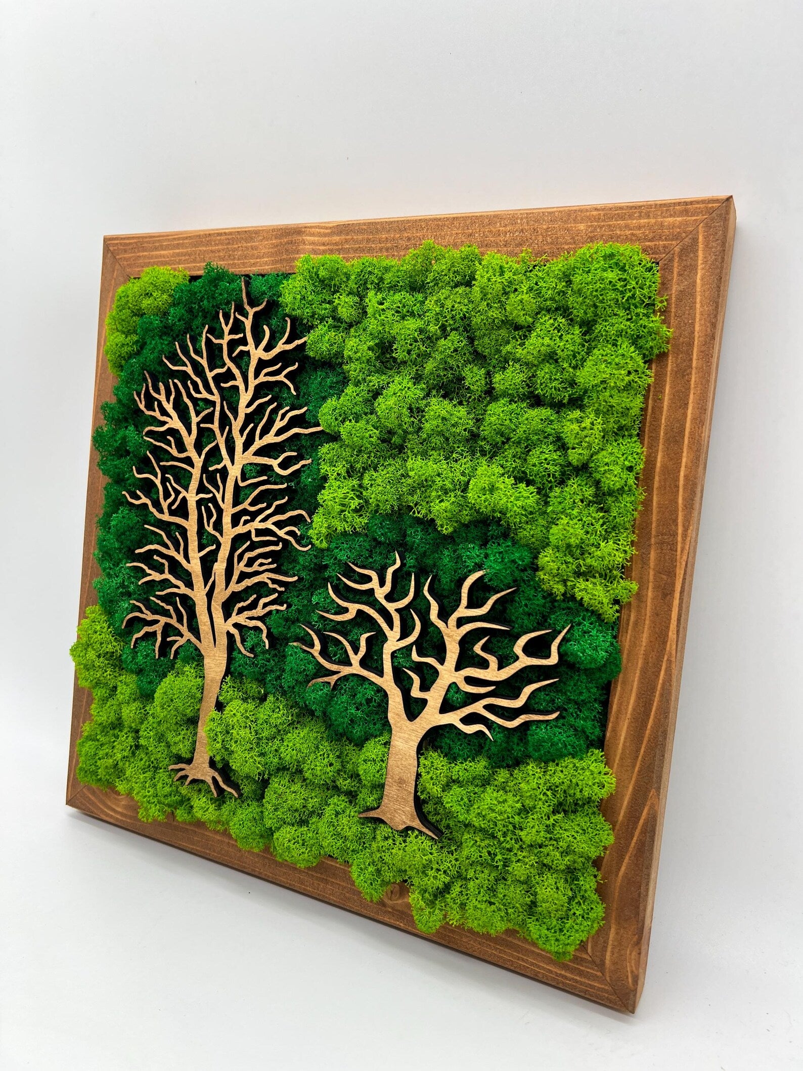 Double Tree Moss Wall Art – Two-Tone Green Decor 30x30 cm