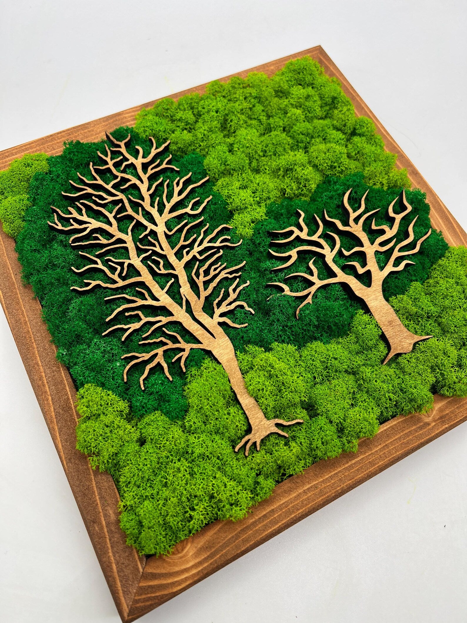 Double Tree Moss Wall Art – Two-Tone Green Decor 30x30 cm