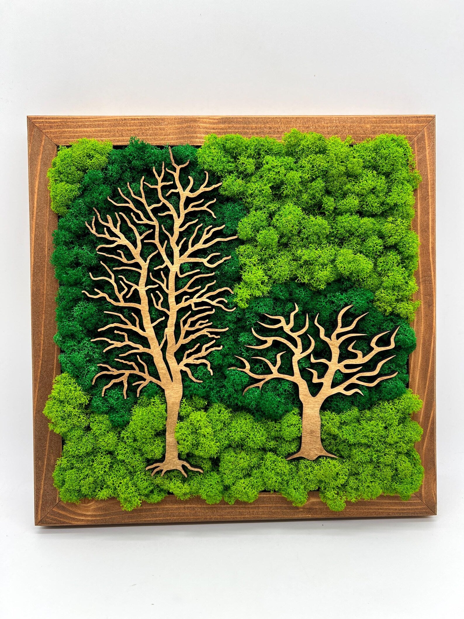 Double Tree Moss Wall Art – Two-Tone Green Decor 30x30 cm