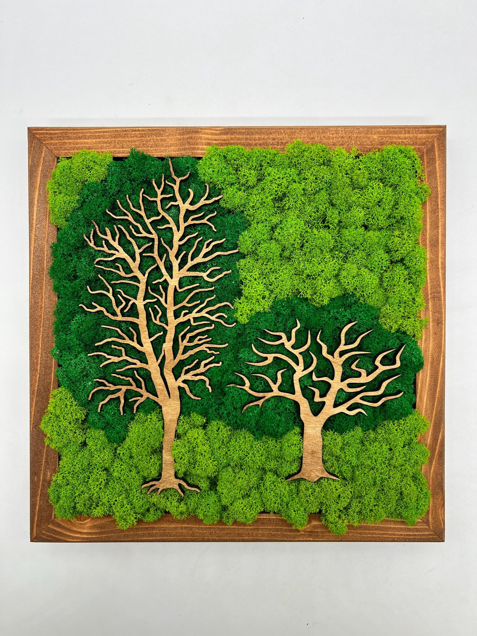 Double Tree Moss Wall Art – Two-Tone Green Decor 30x30 cm