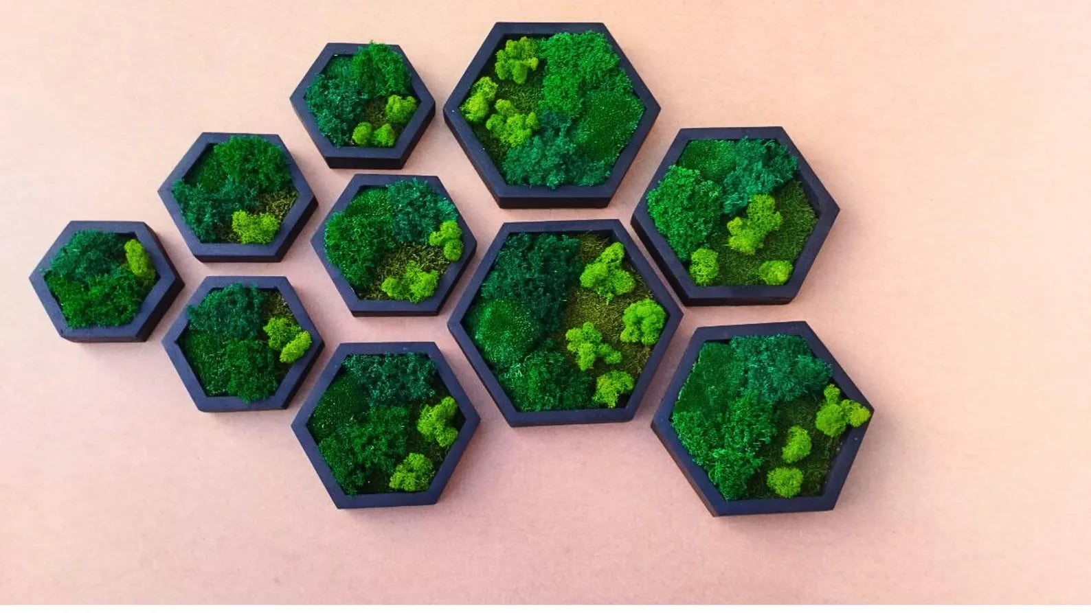 10 Pcs Hexagon Moss Wall Art – White Oak Wood Frames | Green Wall Decor & Gift Idea