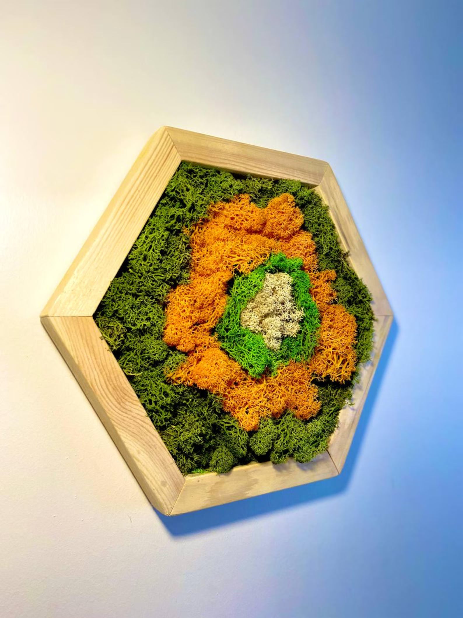 Natural Moss Wall Art Set – Framed Wooden Hexagon Handmade Decor