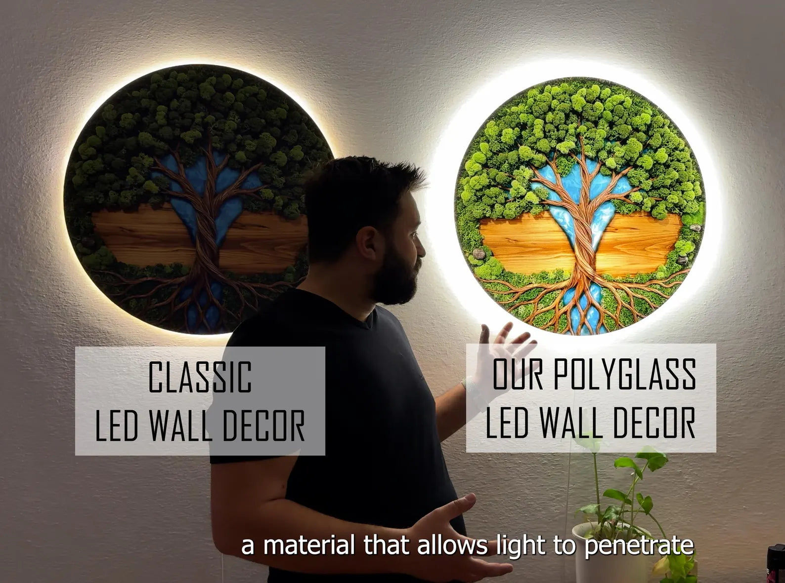 Tree of Life Moss Wall Art – Illuminated Nature Wall Sign & Home Decor