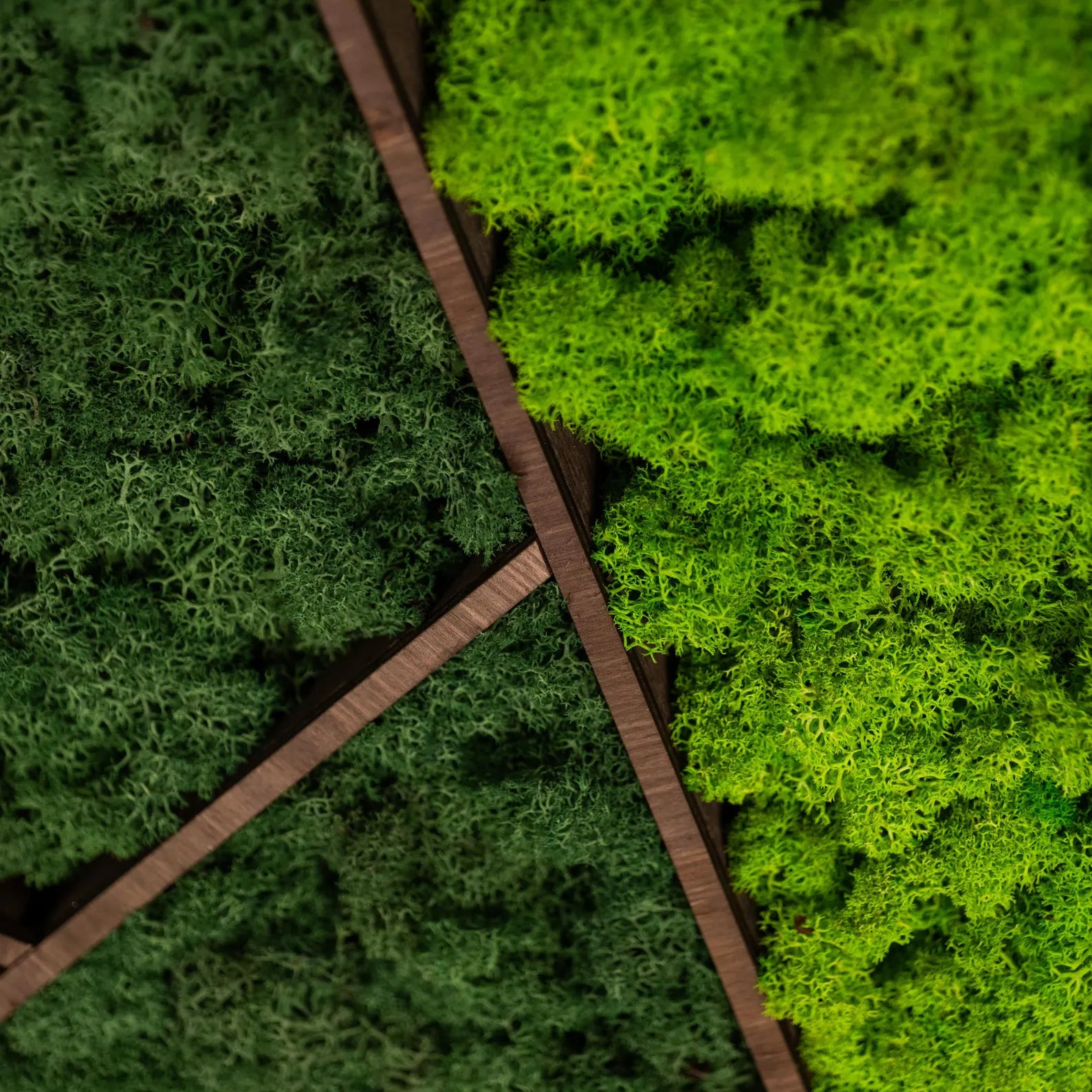 Large Moss Wall Art – Real Preserved Moss in Wooden Frame, Unique Nature Wall Decor, New Home Gift