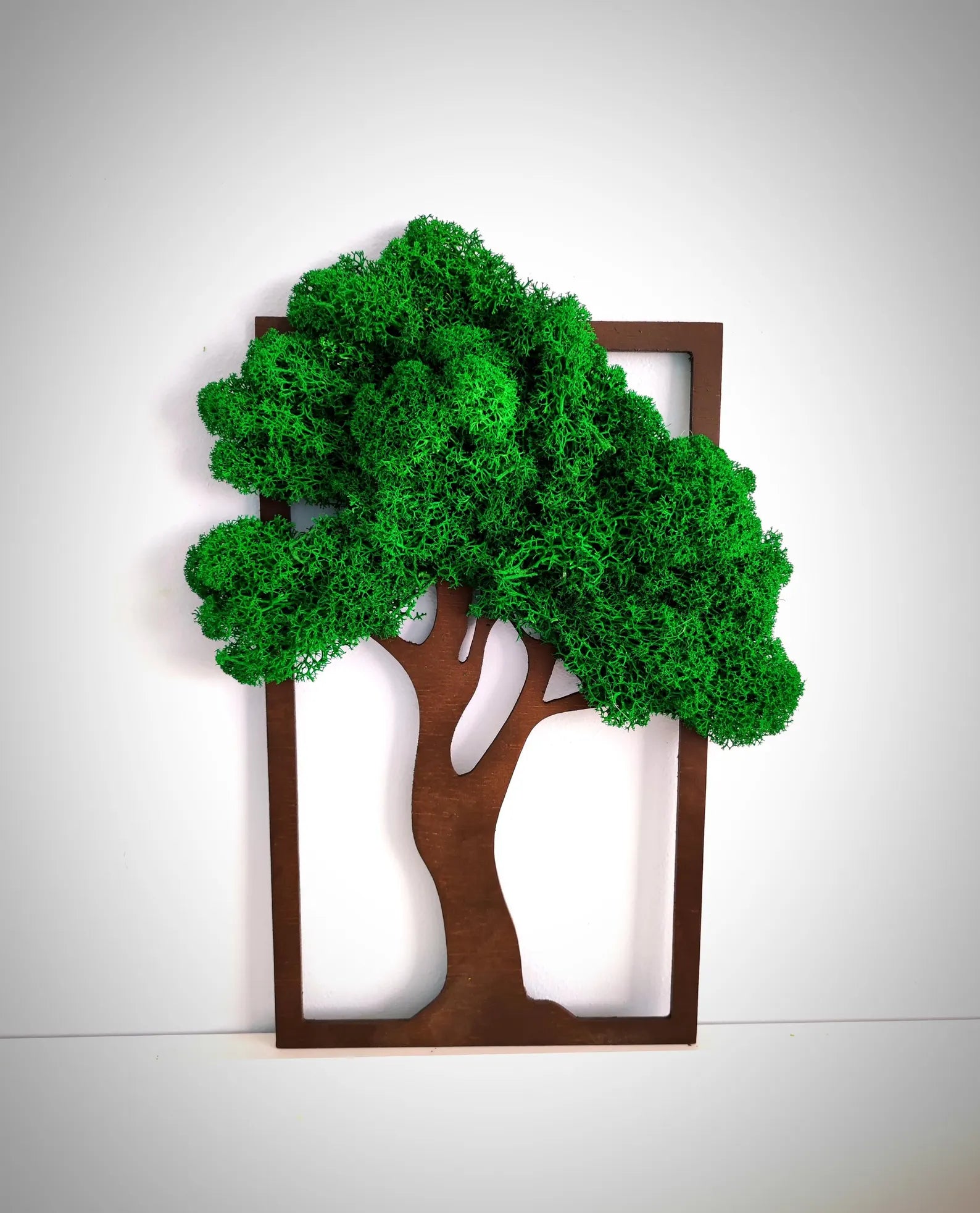 Framed Moss Art Wall Decor – Preserved Reindeer Moss Home Accent Gift