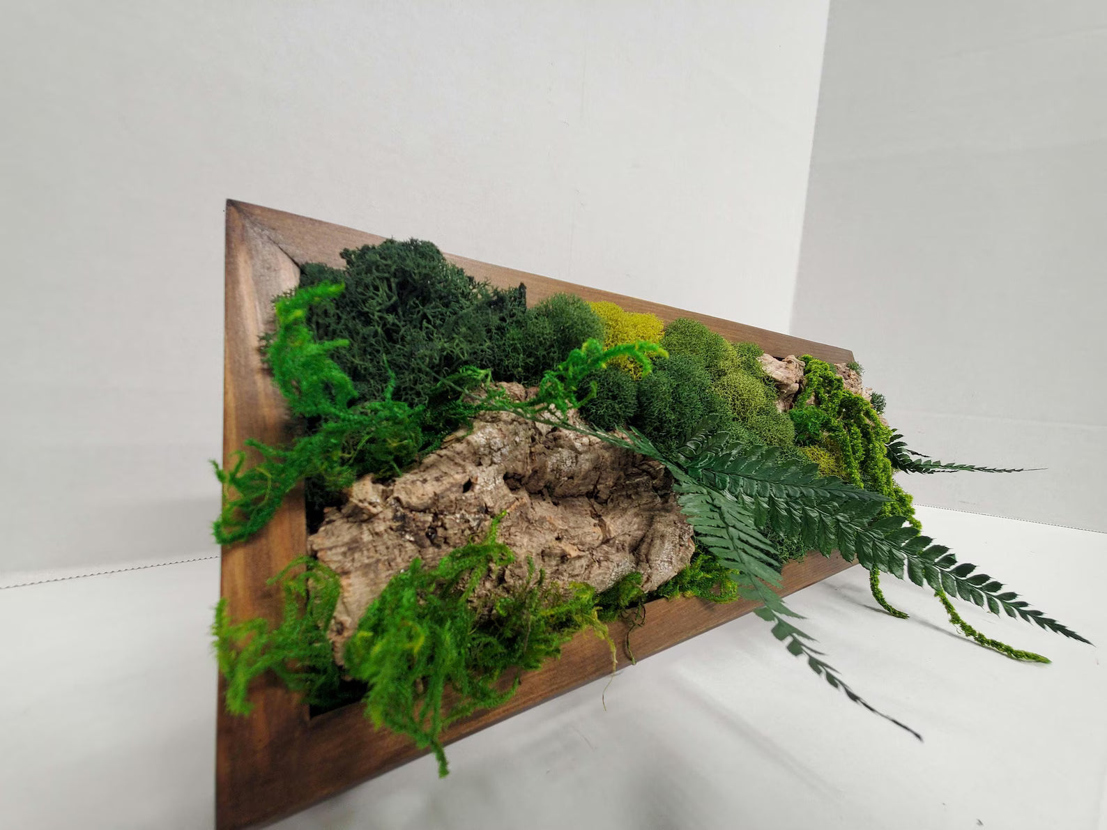 Green Moss Wall Art – Preserved Botanical Rectangle Frame Set