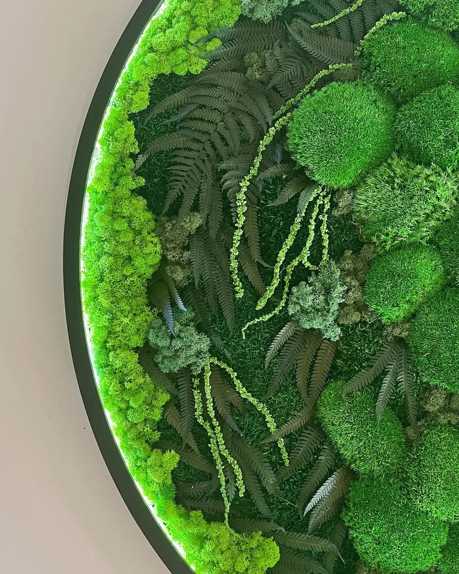 Large Round Moss Wall Art with LED – Green Preserved Moss Décor for Dining Room, Biophilic Design Wall Hanging