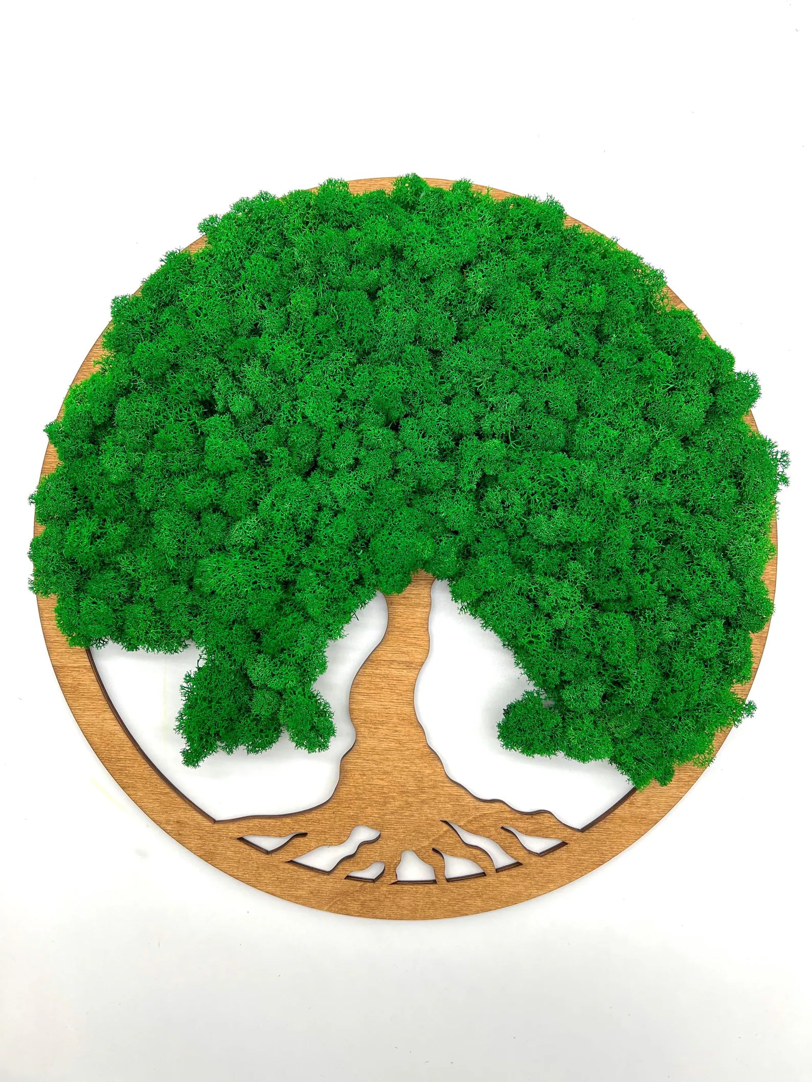Tree of Life Green Moss Wall Art on Walnut Wood – Handmade Minimalist Natural Decor