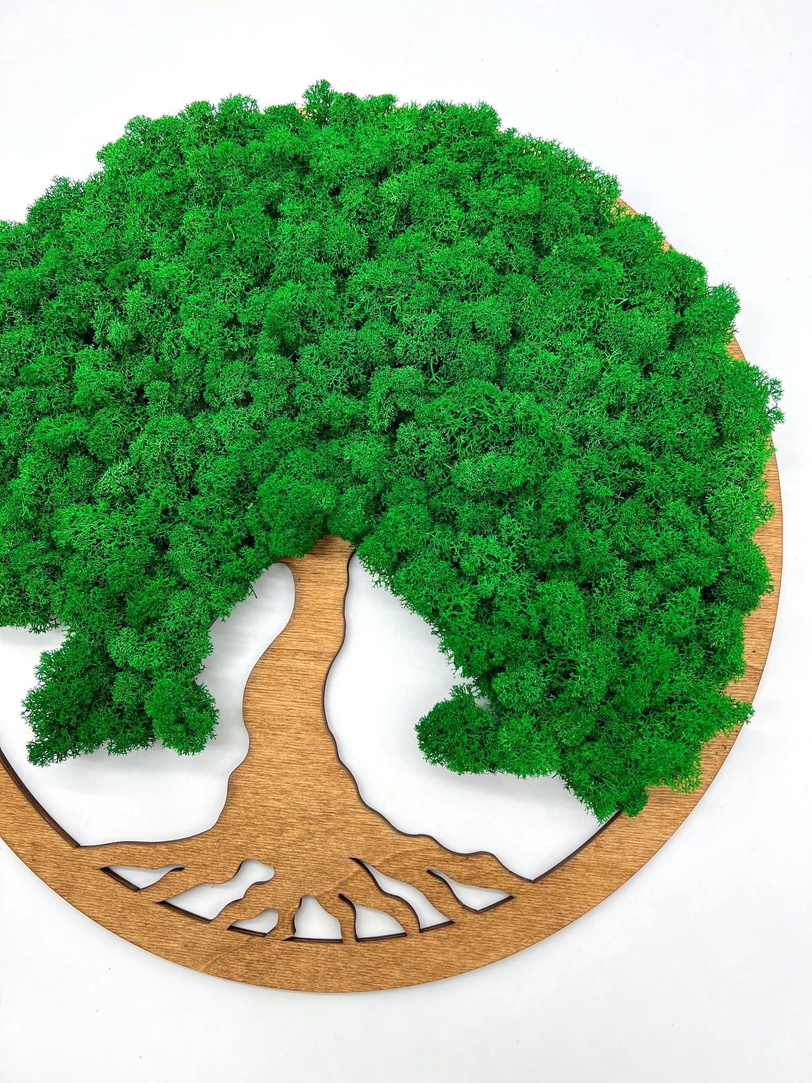 Tree of Life Green Moss Wall Art on Walnut Wood – Handmade Minimalist Natural Decor