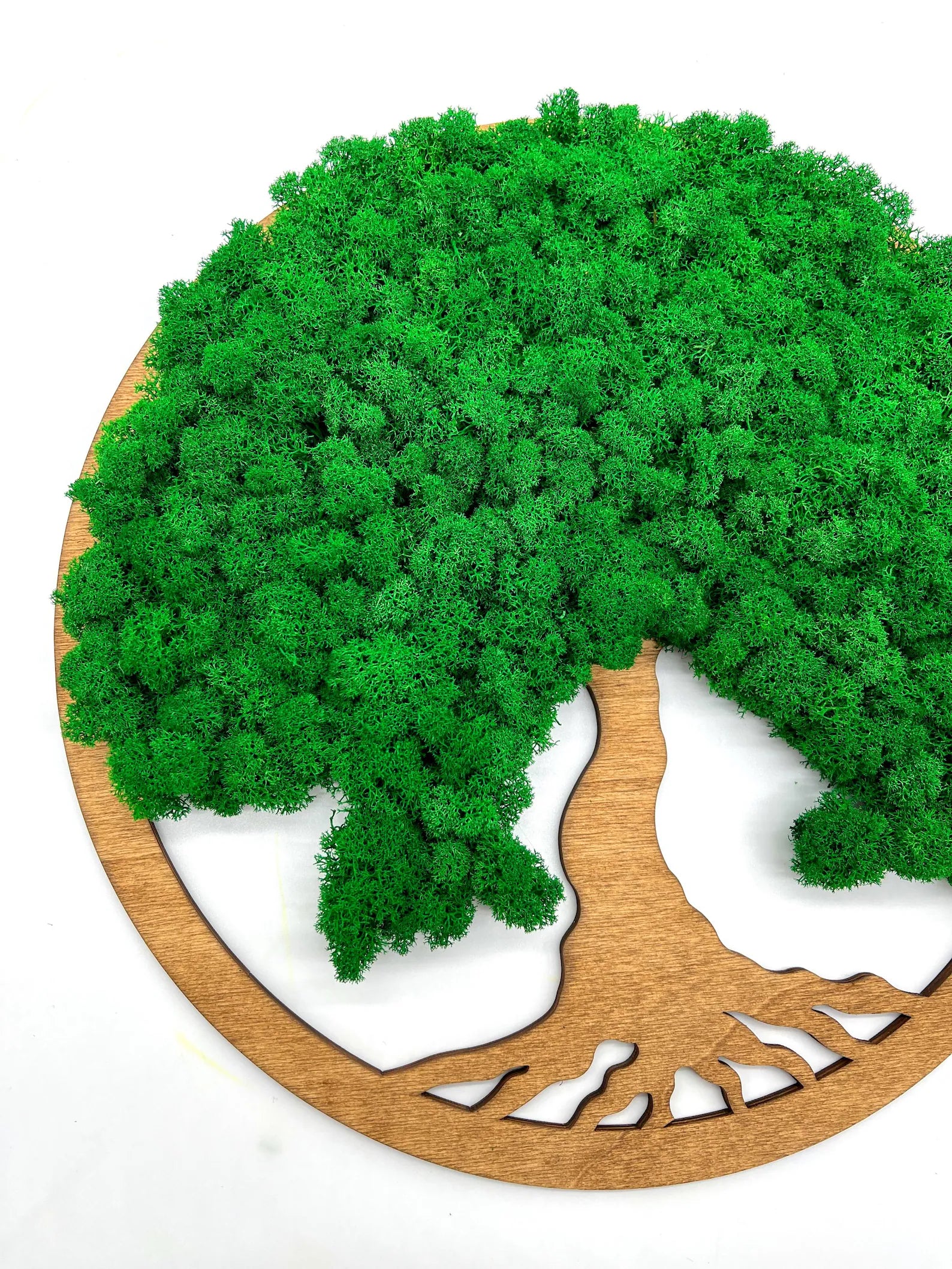Tree of Life Green Moss Wall Art on Walnut Wood – Handmade Minimalist Natural Decor