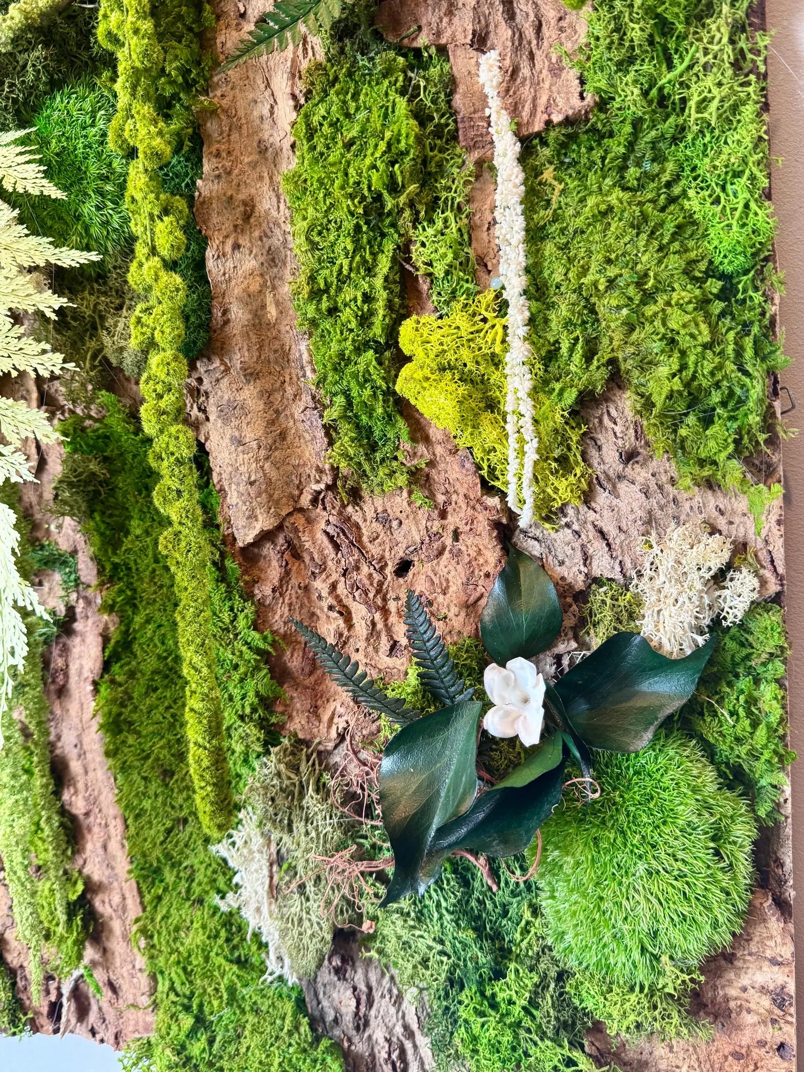Handmade Stabilized Plant Frame on Cork Bark – Unique Rainforest Wall Art