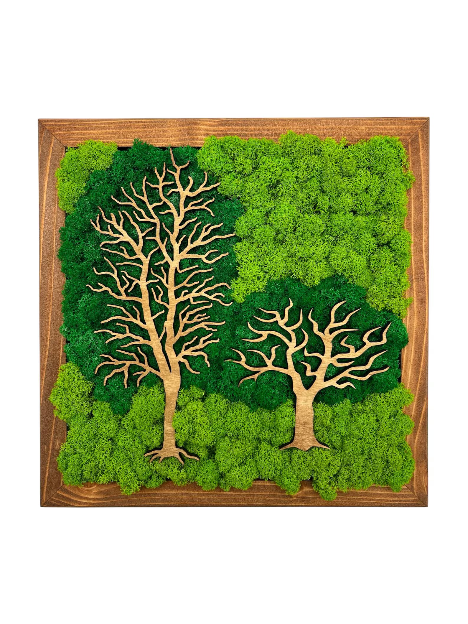 Double Tree Moss Wall Art – Two-Tone Green Decor 30x30 cm
